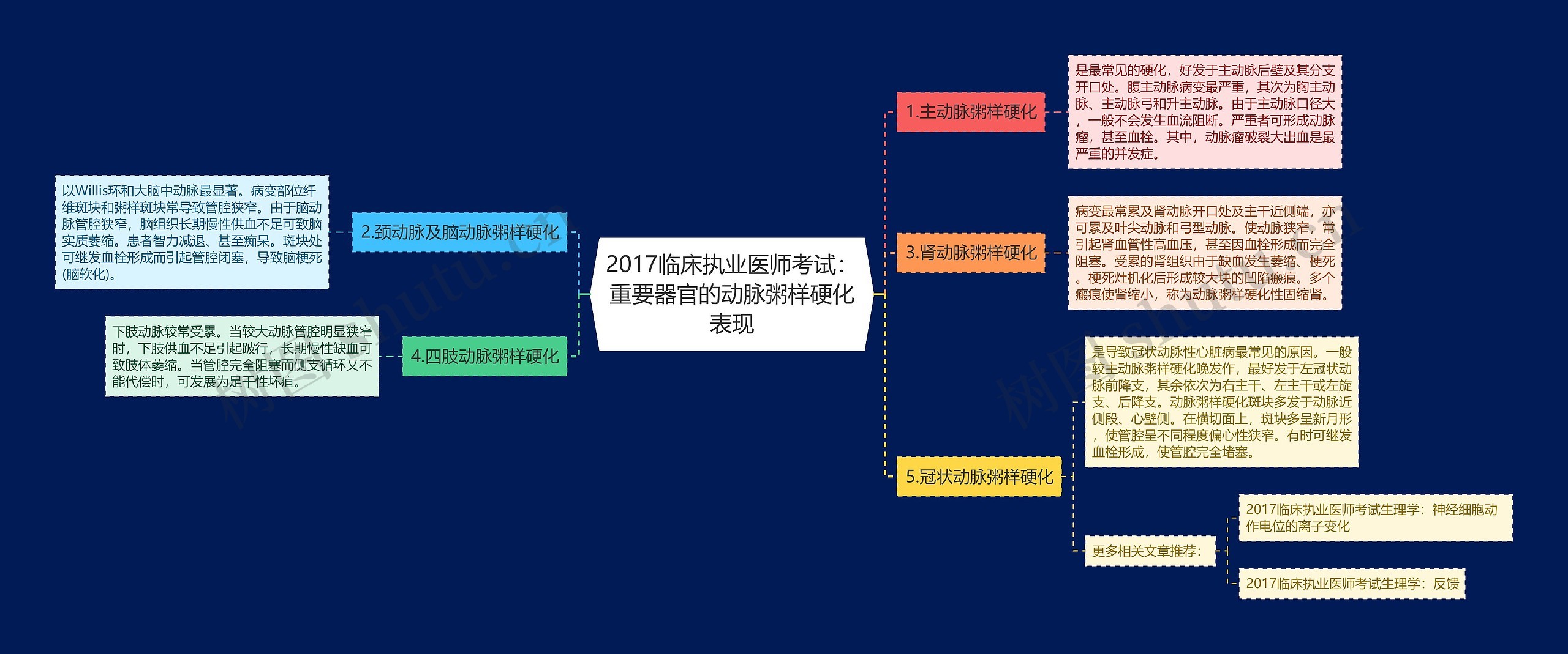 2017临床执业医师考试：重要器官的动脉粥样硬化表现