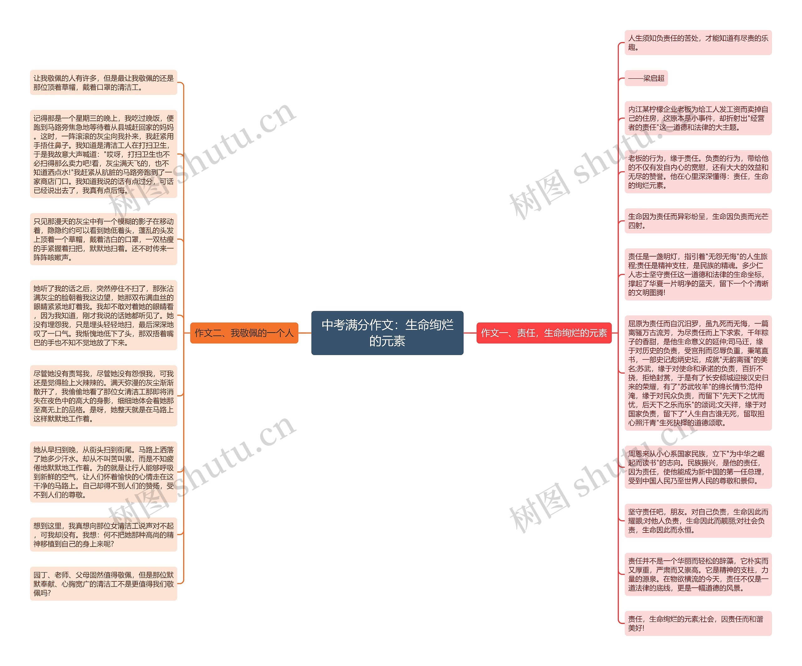 中考满分作文：生命绚烂的元素思维导图