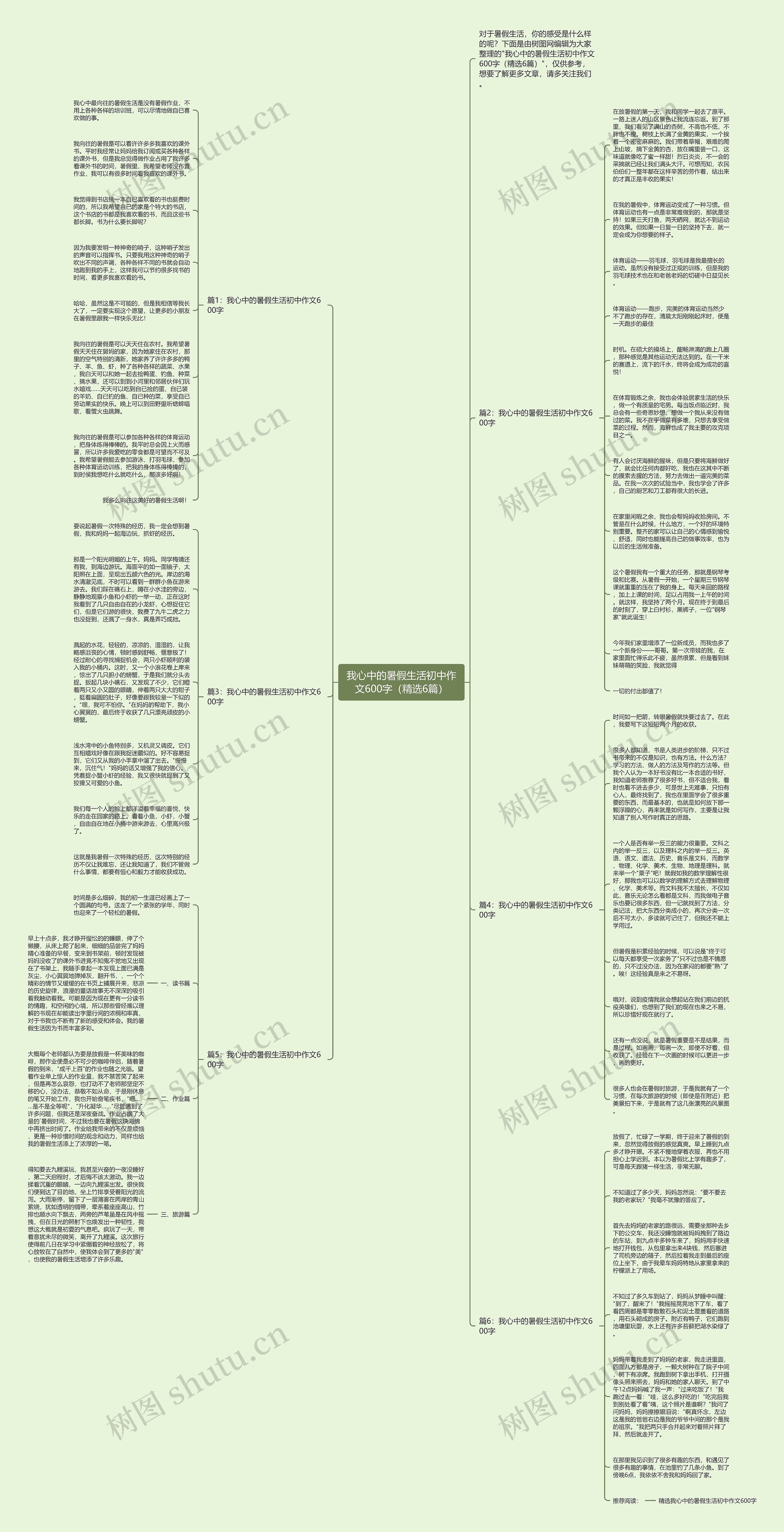 我心中的暑假生活初中作文600字（精选6篇）思维导图