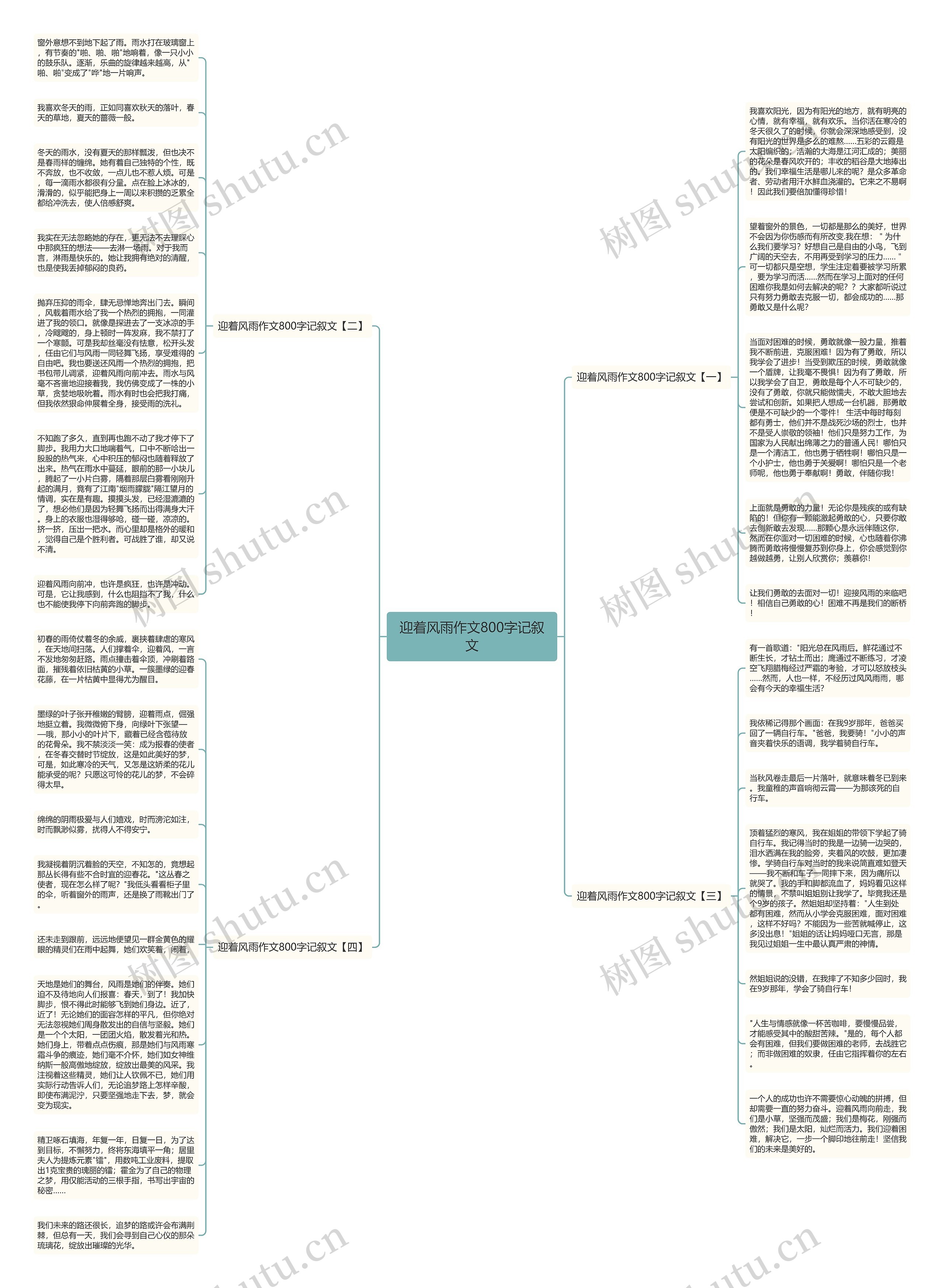 迎着风雨作文800字记叙文思维导图
