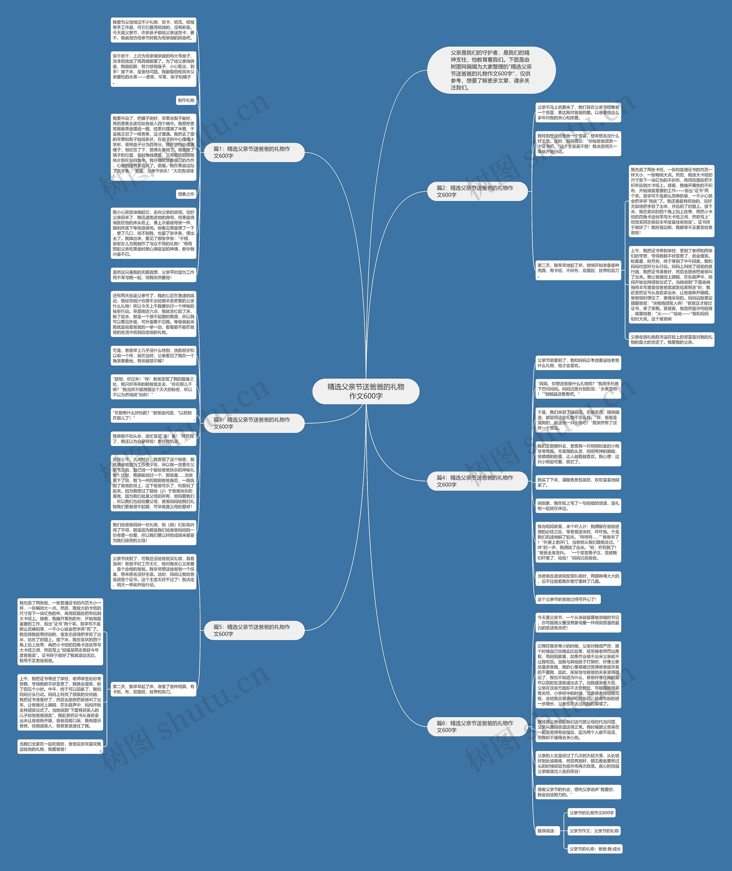 精选父亲节送爸爸的礼物作文600字