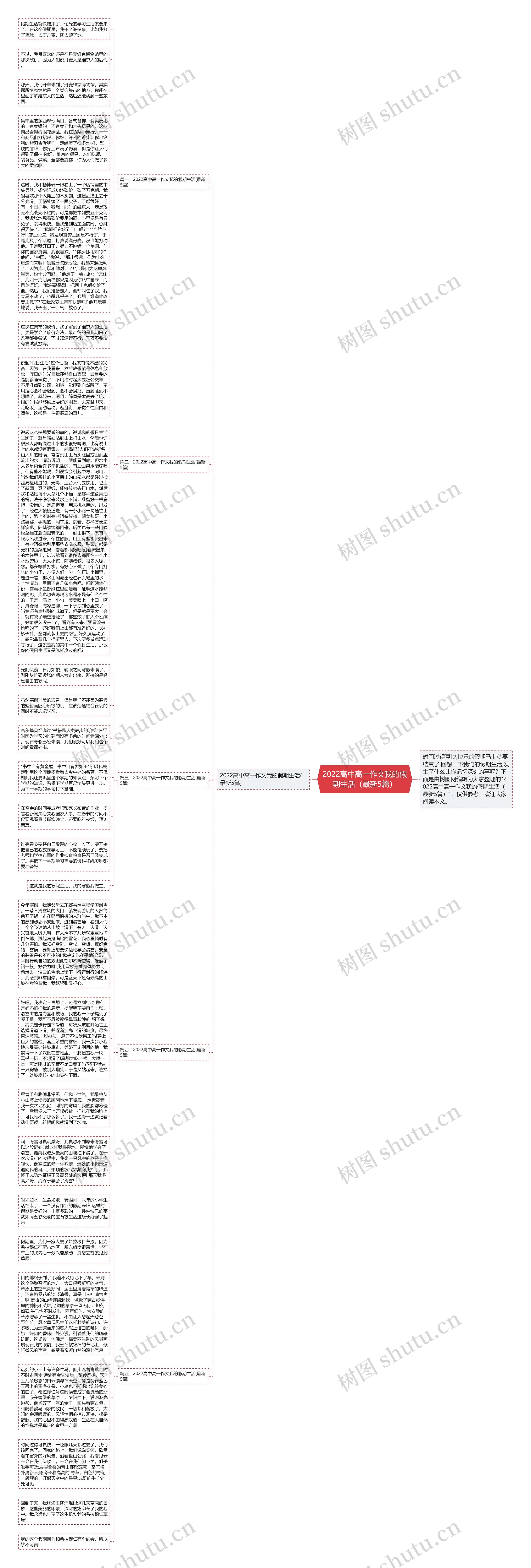 2022高中高一作文我的假期生活（最新5篇）思维导图