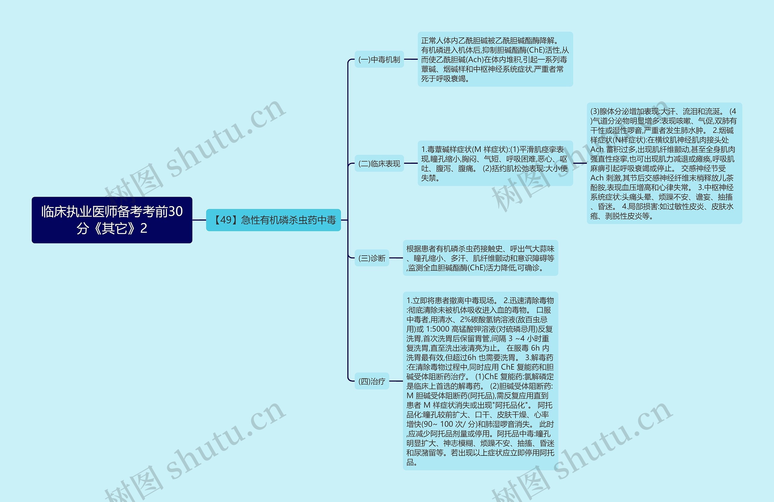 临床执业医师备考考前30分《其它》2思维导图