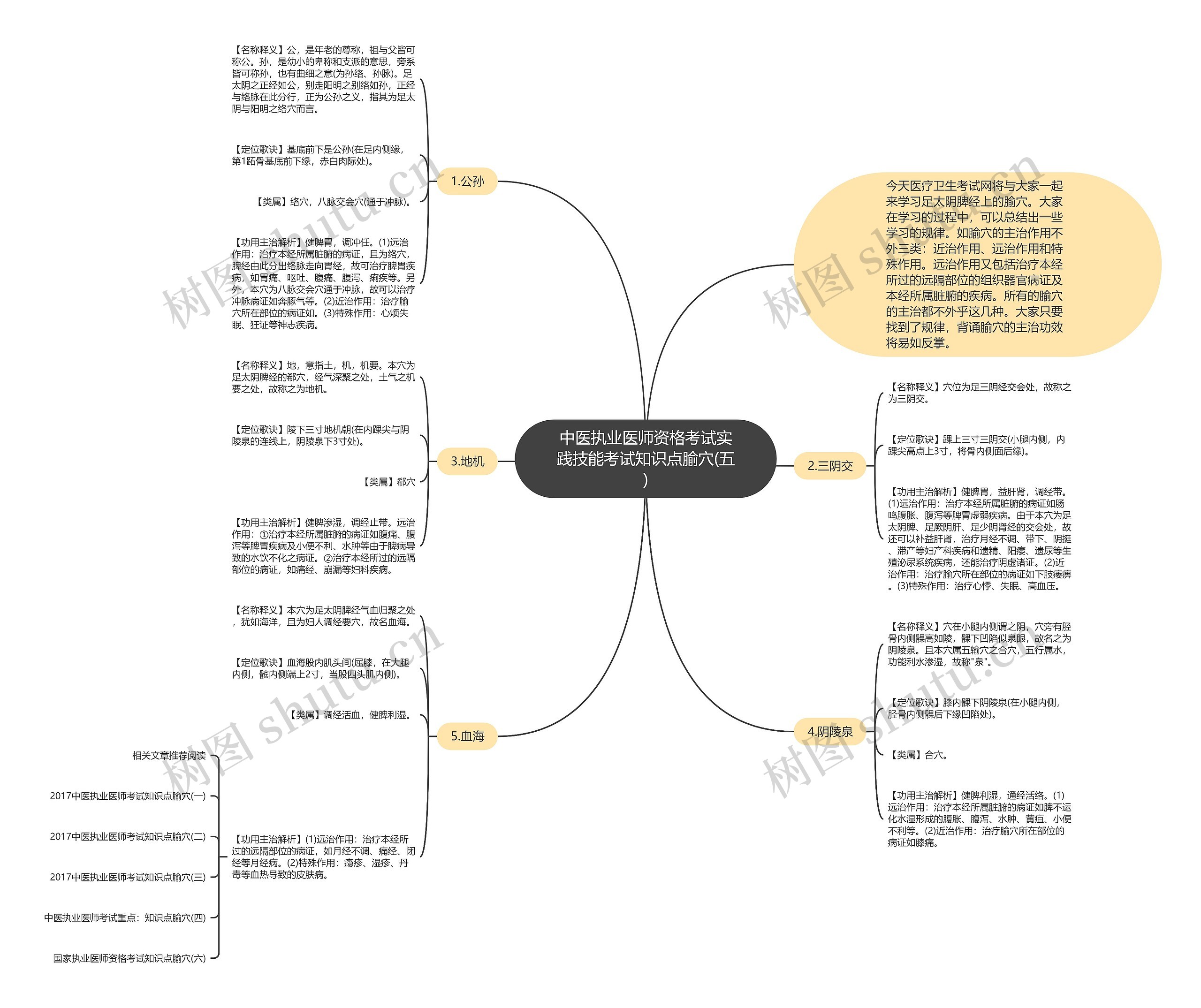 中医执业医师资格考试实践技能考试知识点腧穴(五) 中医执业医师资格考试实践技能考试知识点腧穴(五)