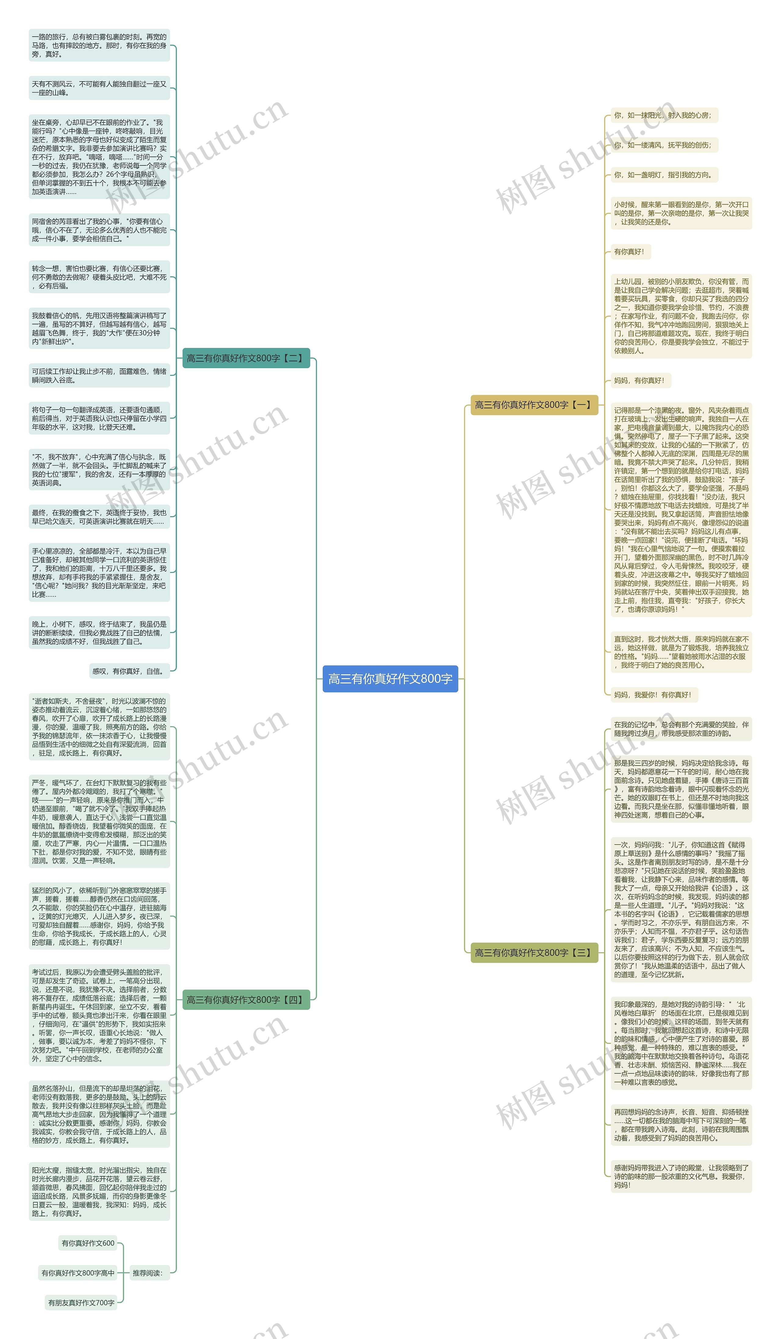 高三有你真好作文800字思维导图
