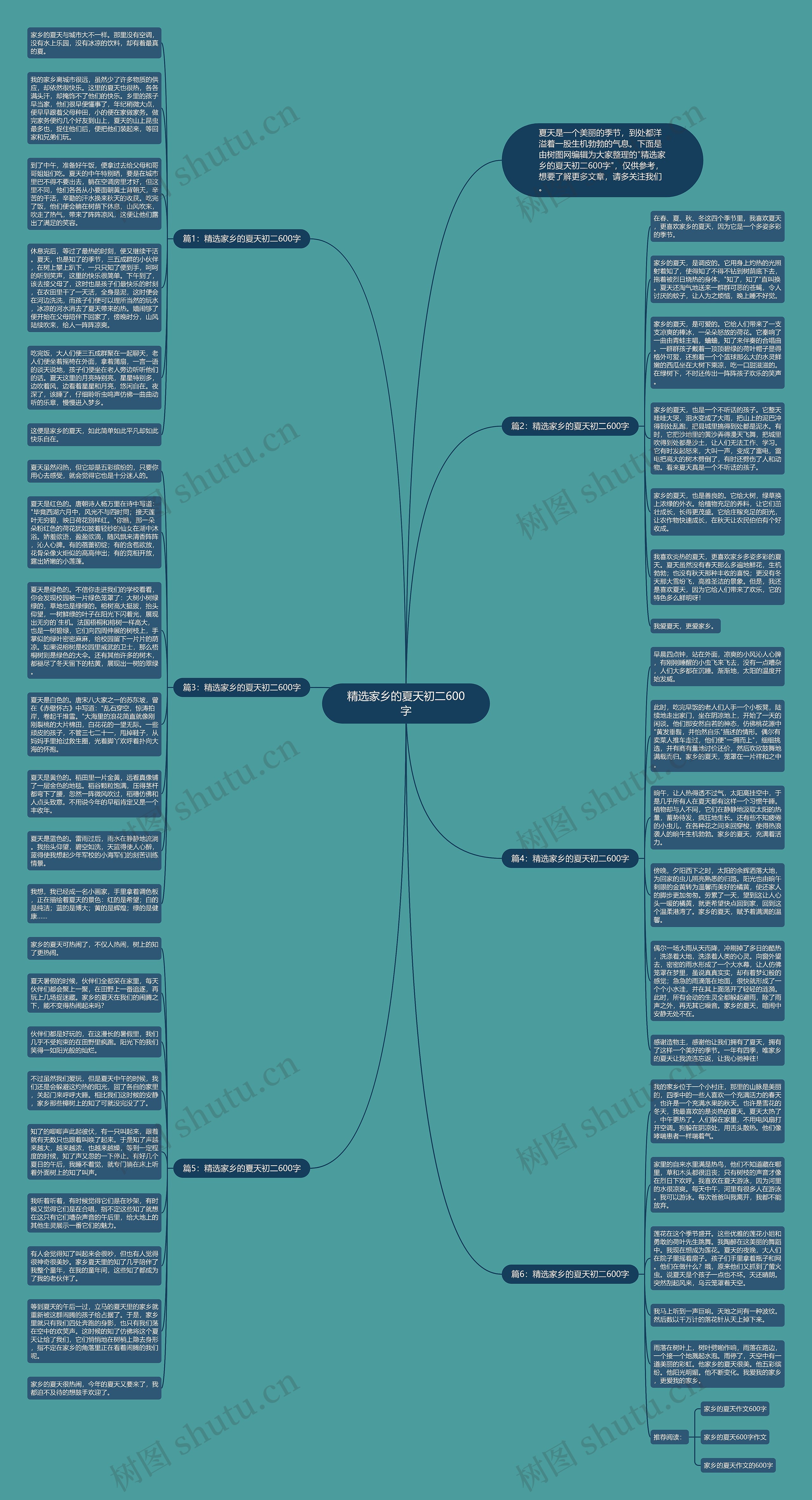精选家乡的夏天初二600字思维导图
