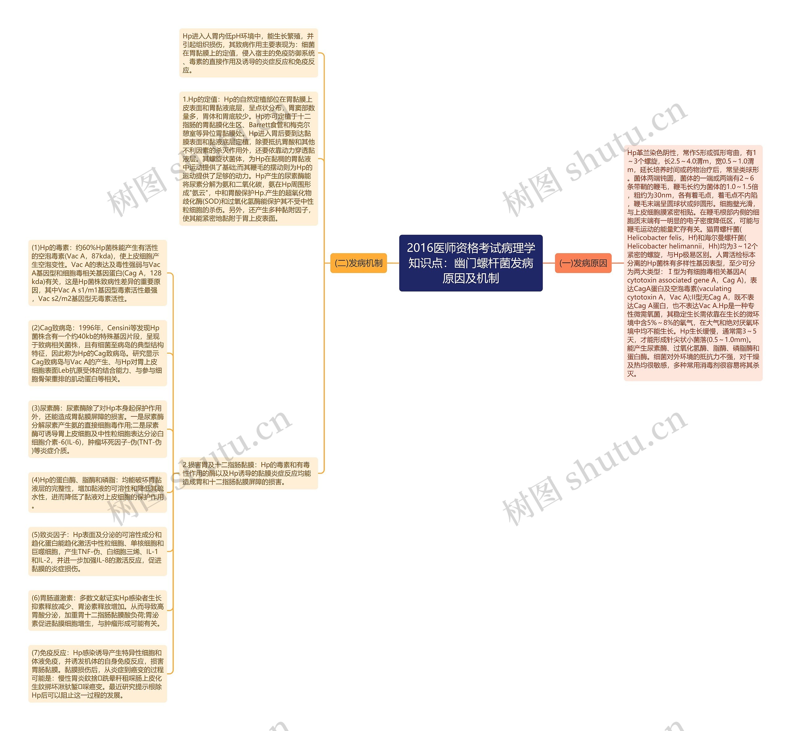 2016医师资格考试病理学知识点：幽门螺杆菌发病原因及机制思维导图