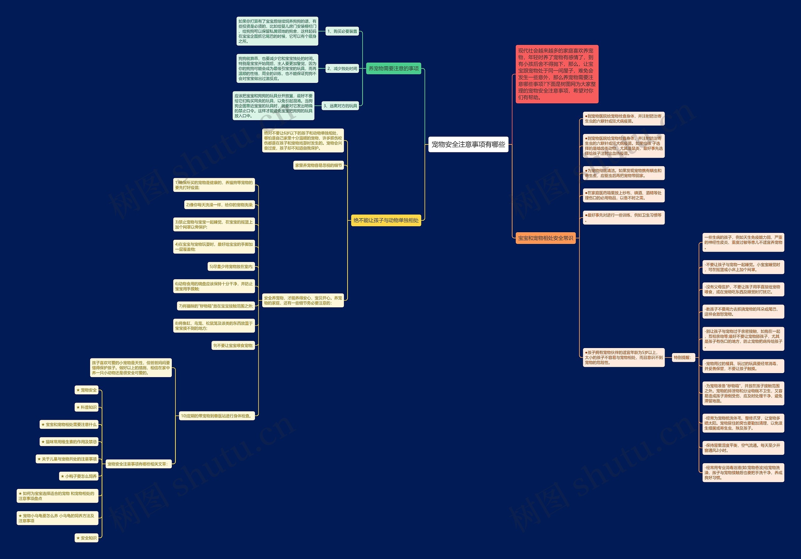 宠物安全注意事项有哪些思维导图