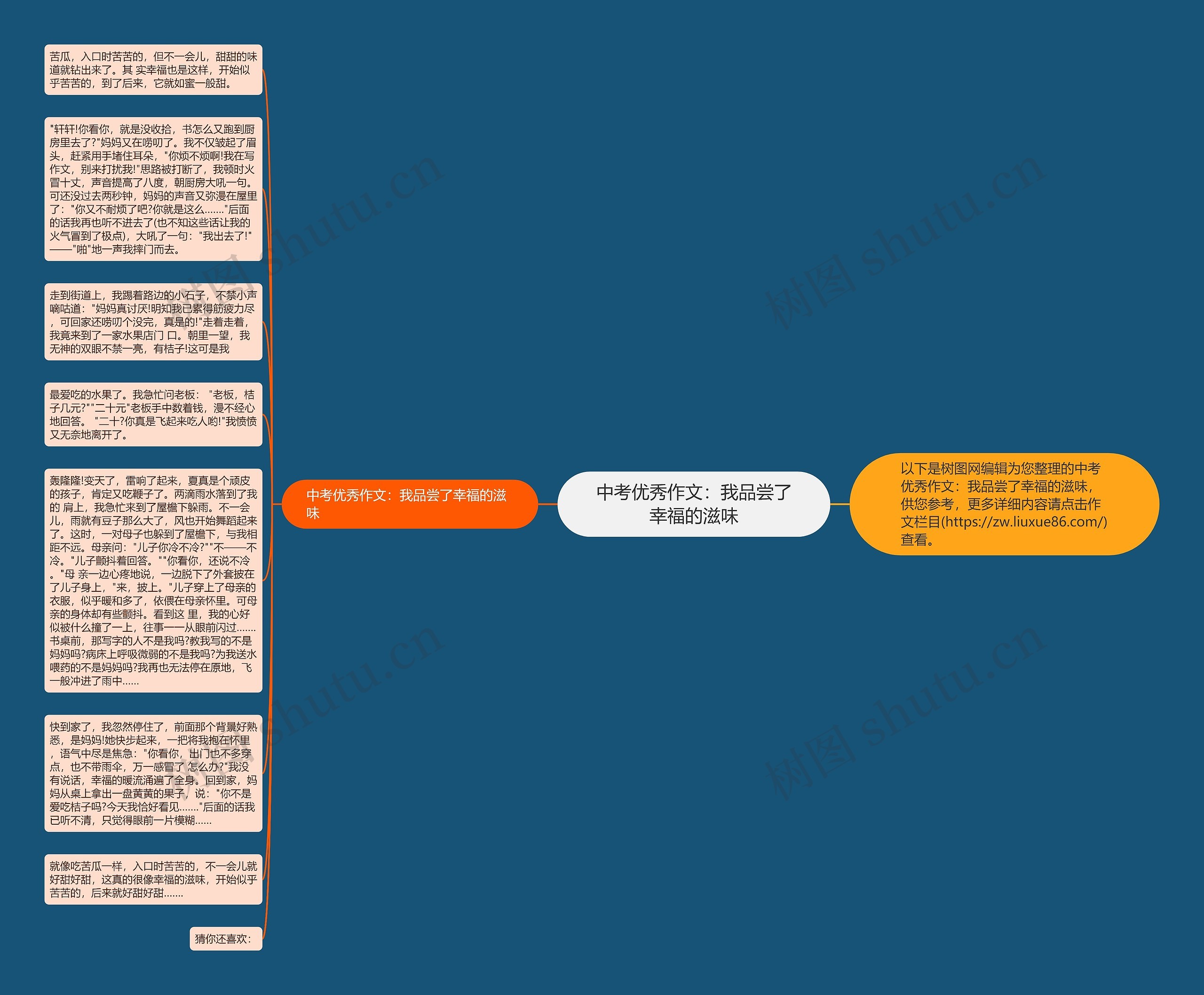 中考优秀作文：我品尝了幸福的滋味思维导图