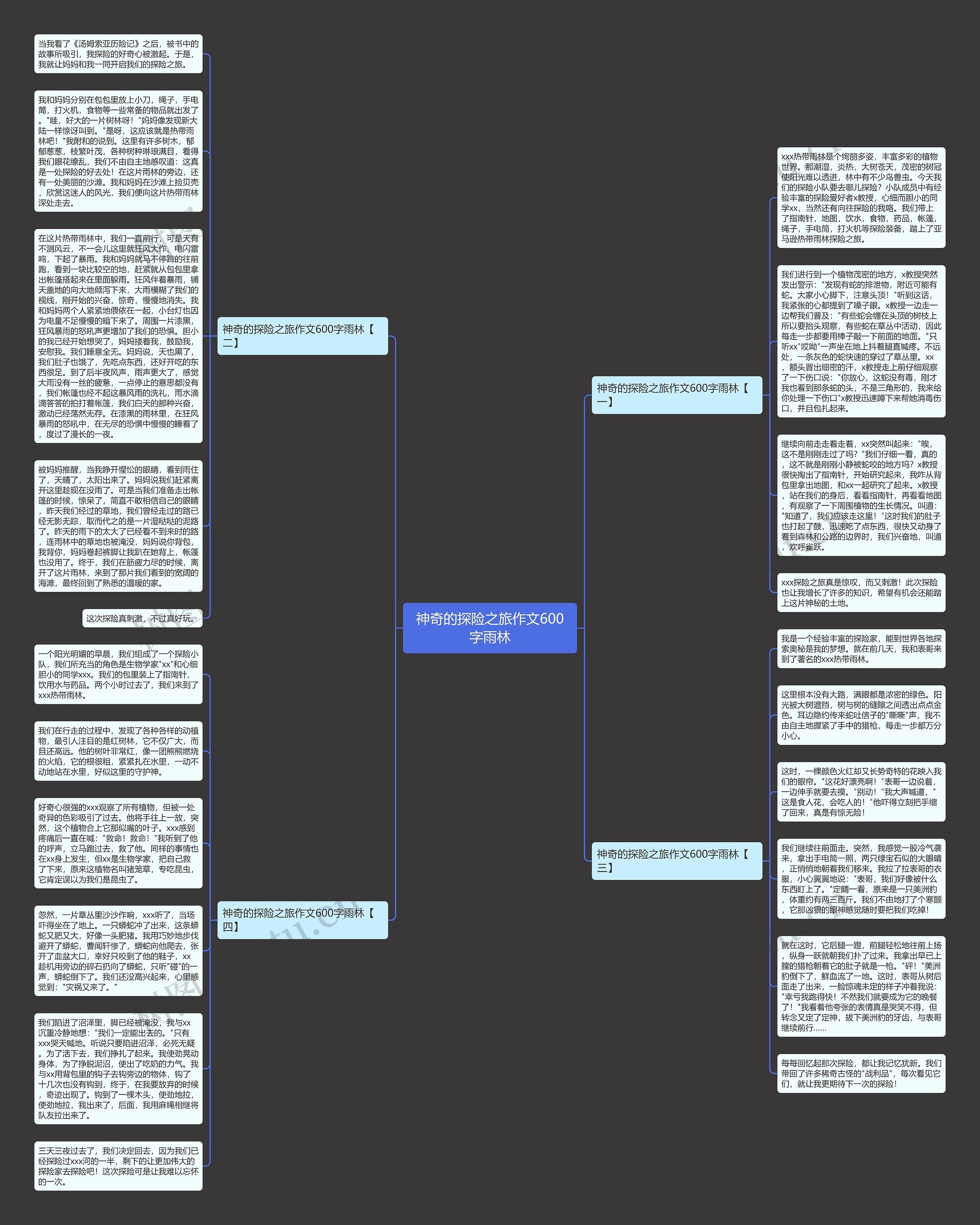 神奇的探险之旅作文600字雨林思维导图