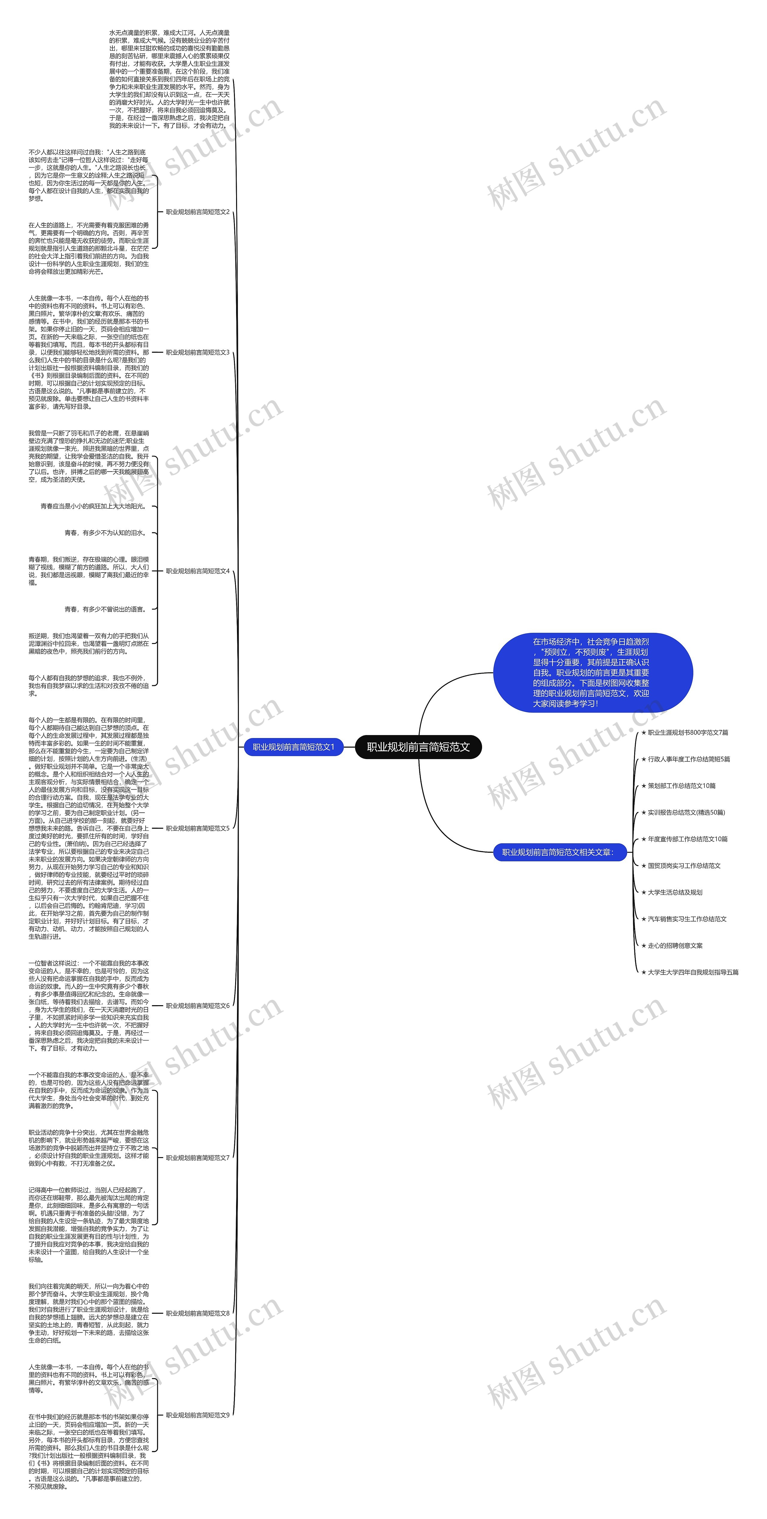 职业规划前言简短范文思维导图