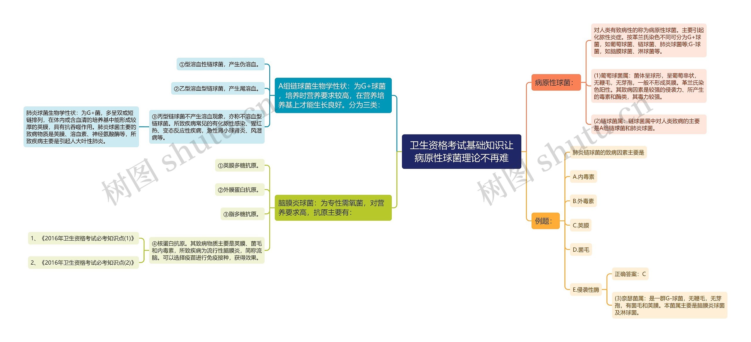 卫生资格考试基础知识让病原性球菌理论不再难