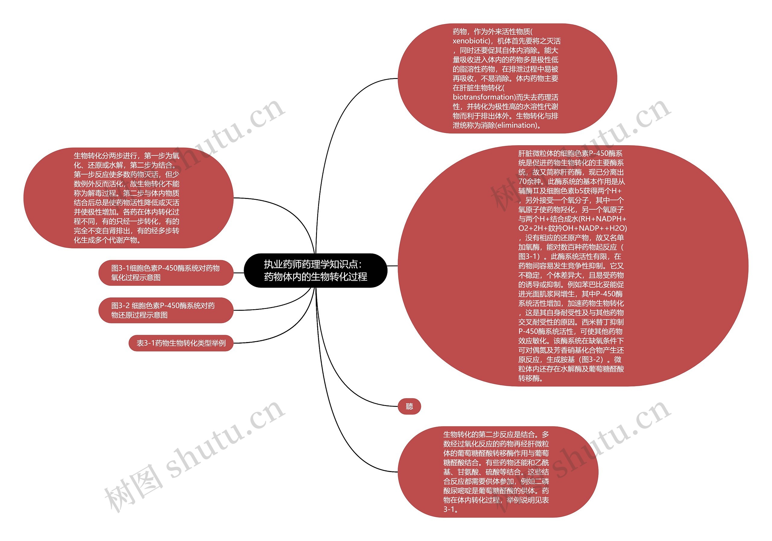 执业药师药理学知识点：药物体内的生物转化过程思维导图
