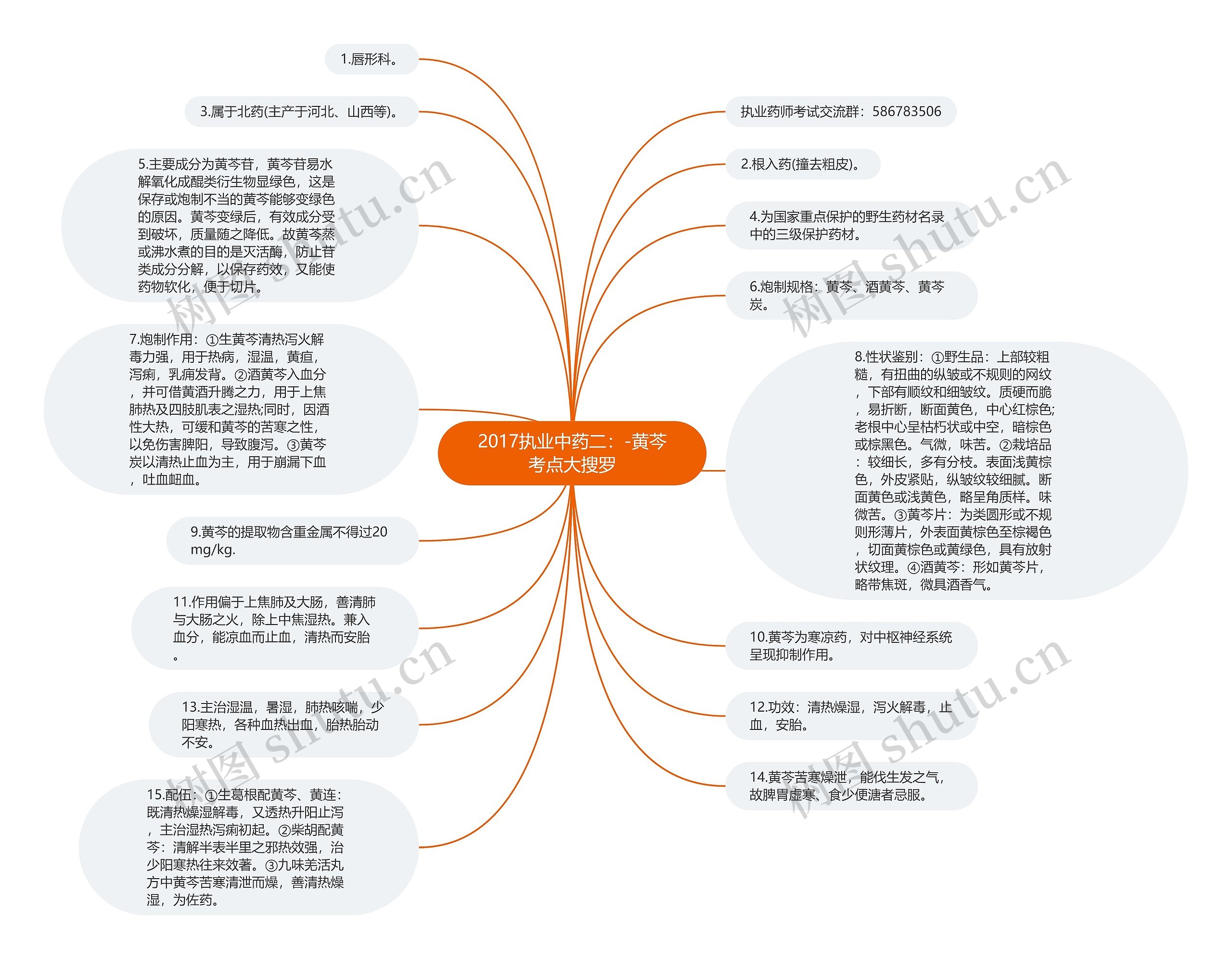 2017执业中药二：-黄芩考点大搜罗