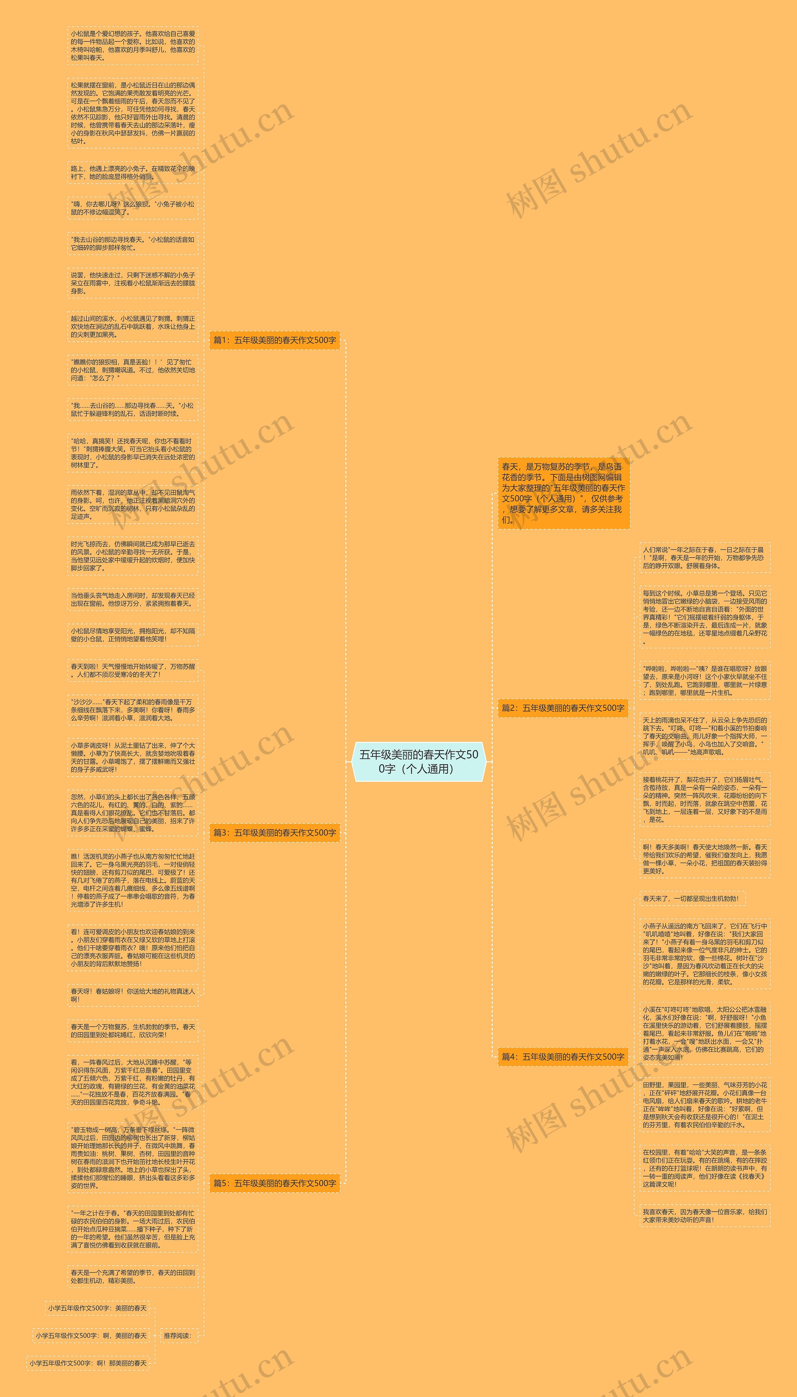 五年级美丽的春天作文500字（个人通用）思维导图