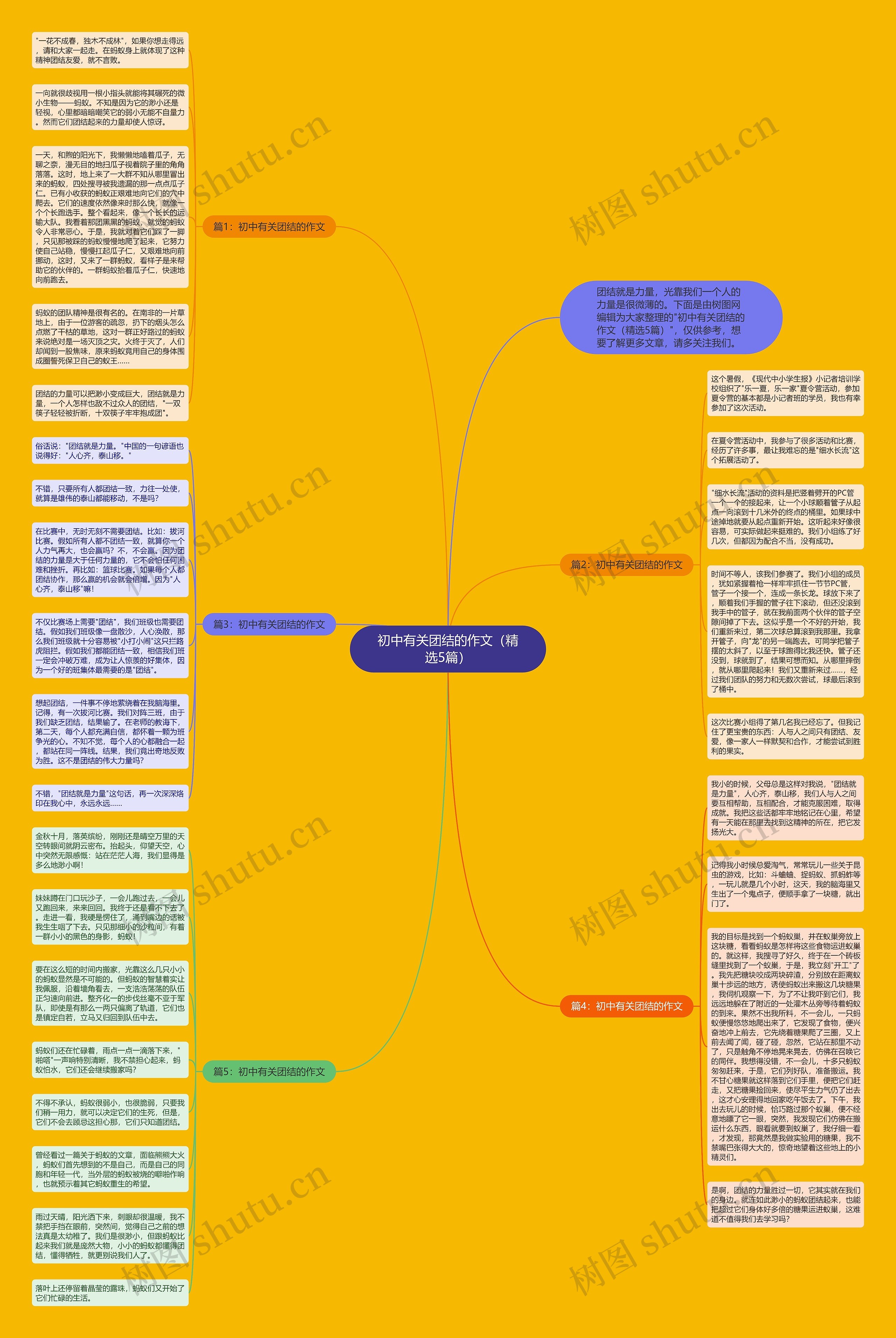 初中有关团结的作文（精选5篇）思维导图