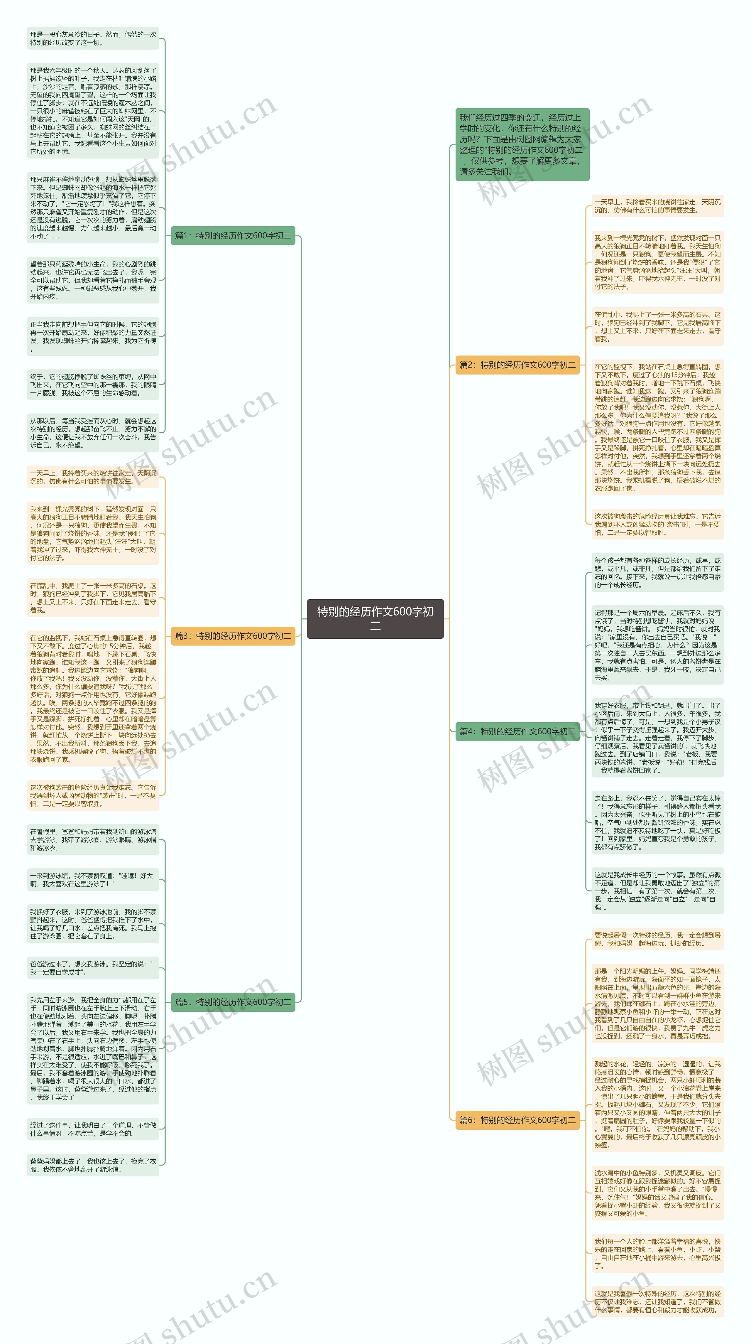 特别的经历作文600字初二思维导图