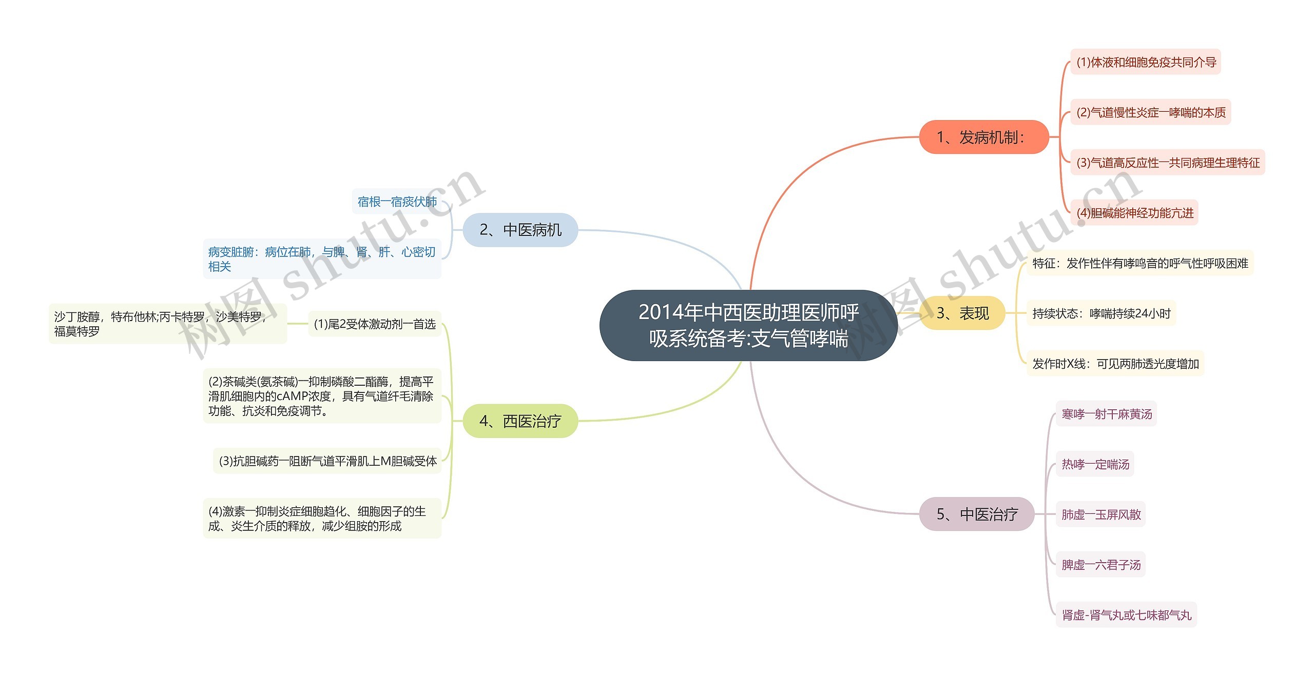 2014年中西医助理医师呼吸系统备考:支气管哮喘