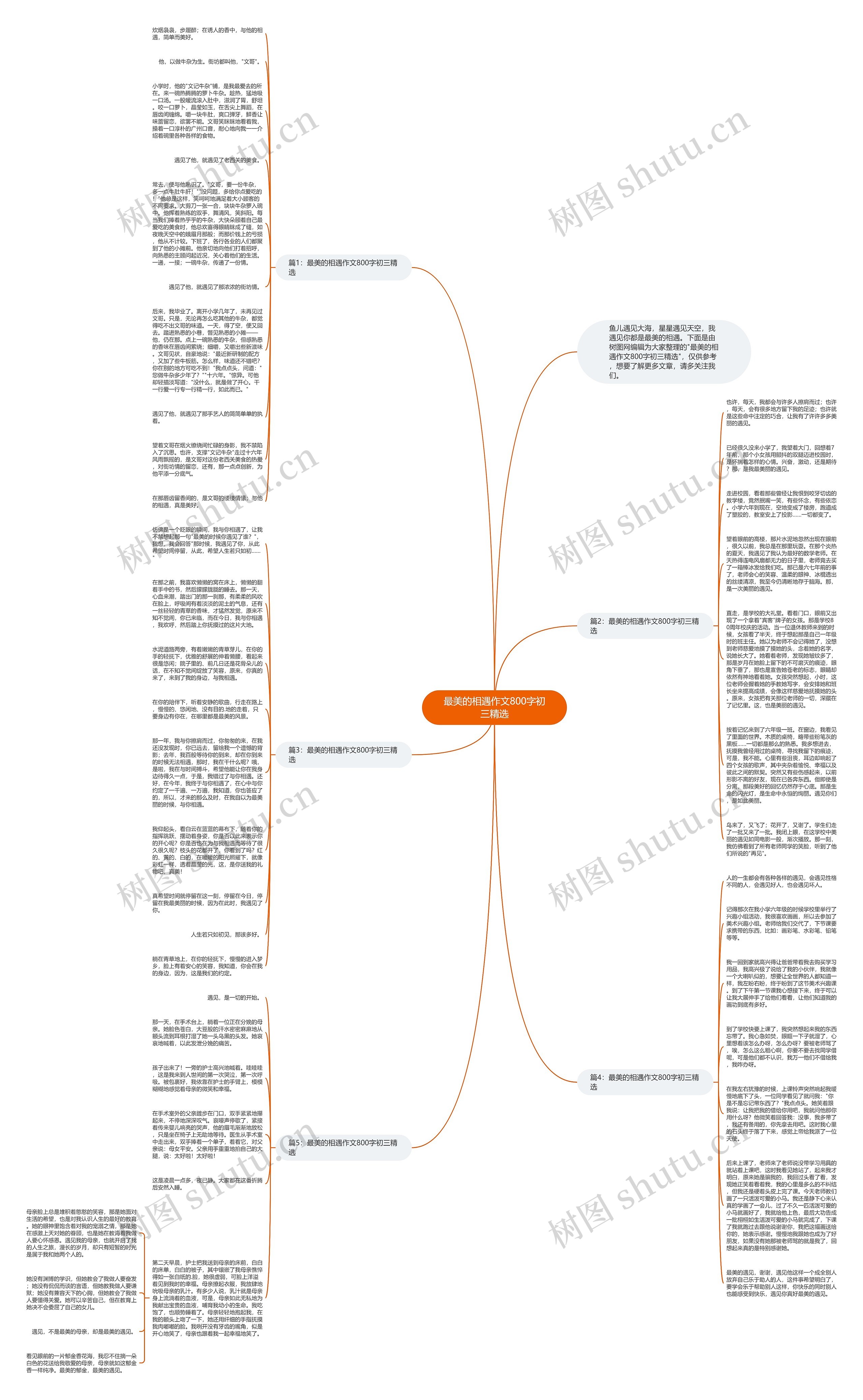 最美的相遇作文800字初三精选思维导图