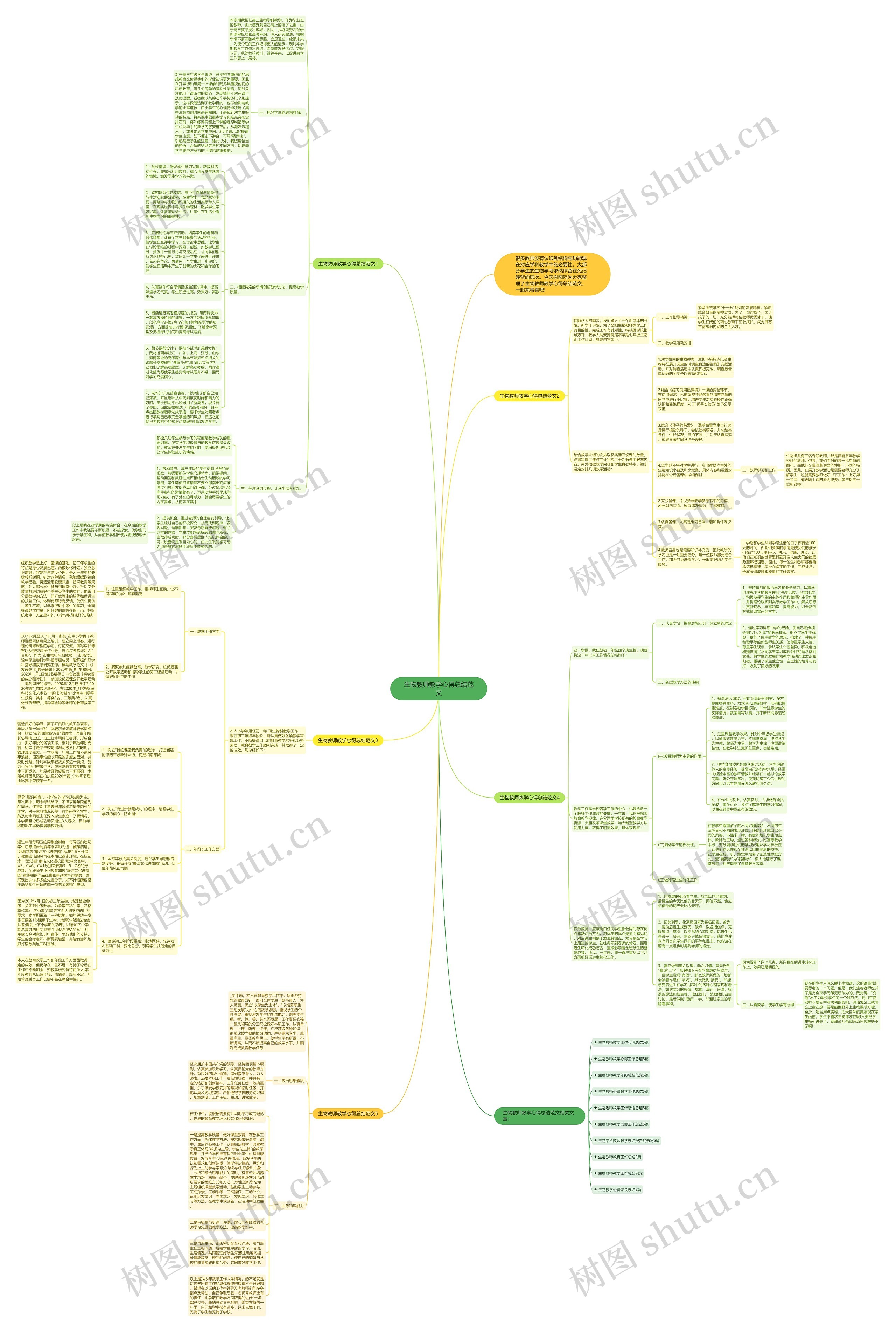 生物教师教学心得总结范文思维导图