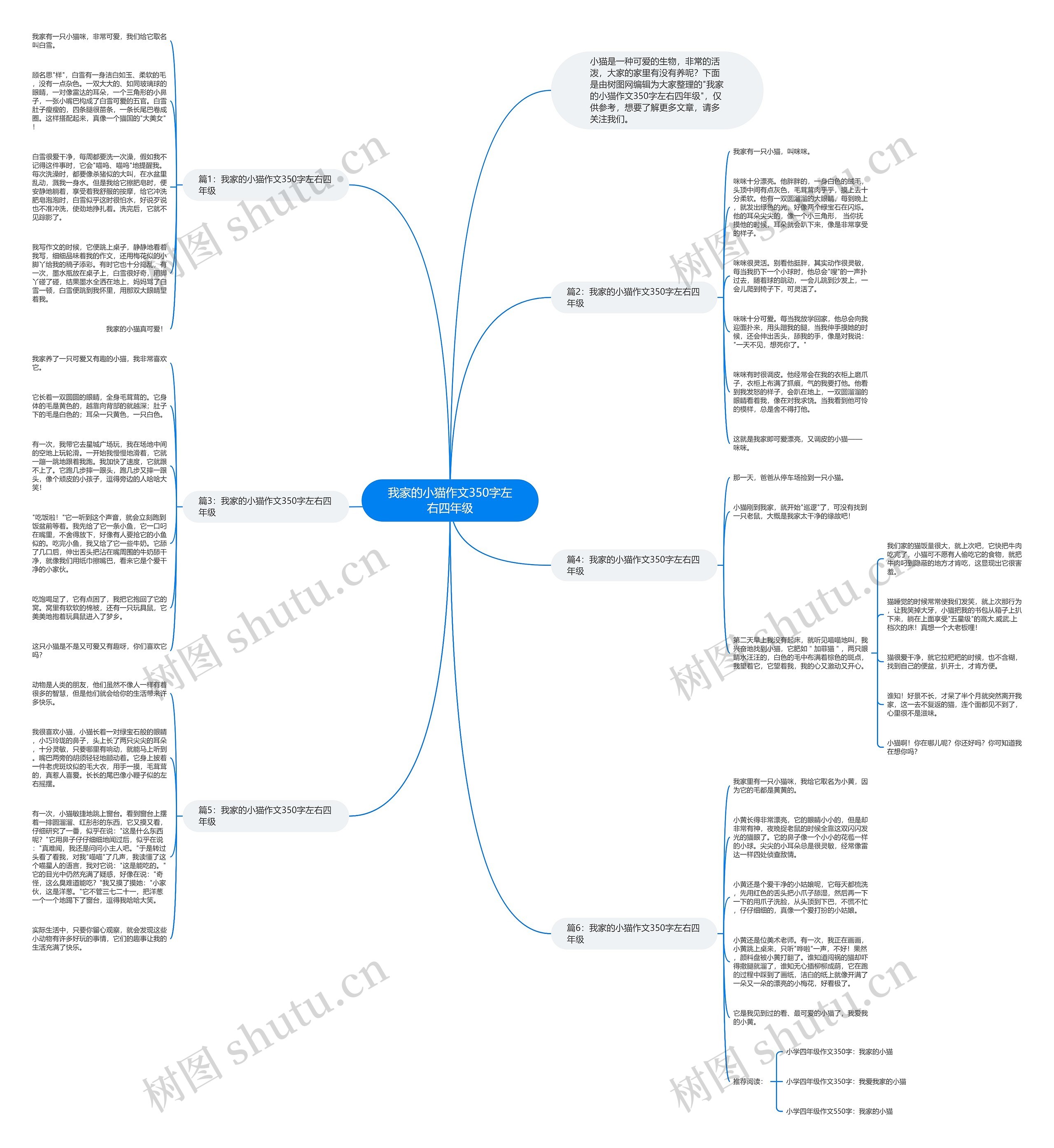我家的小猫作文350字左右四年级思维导图