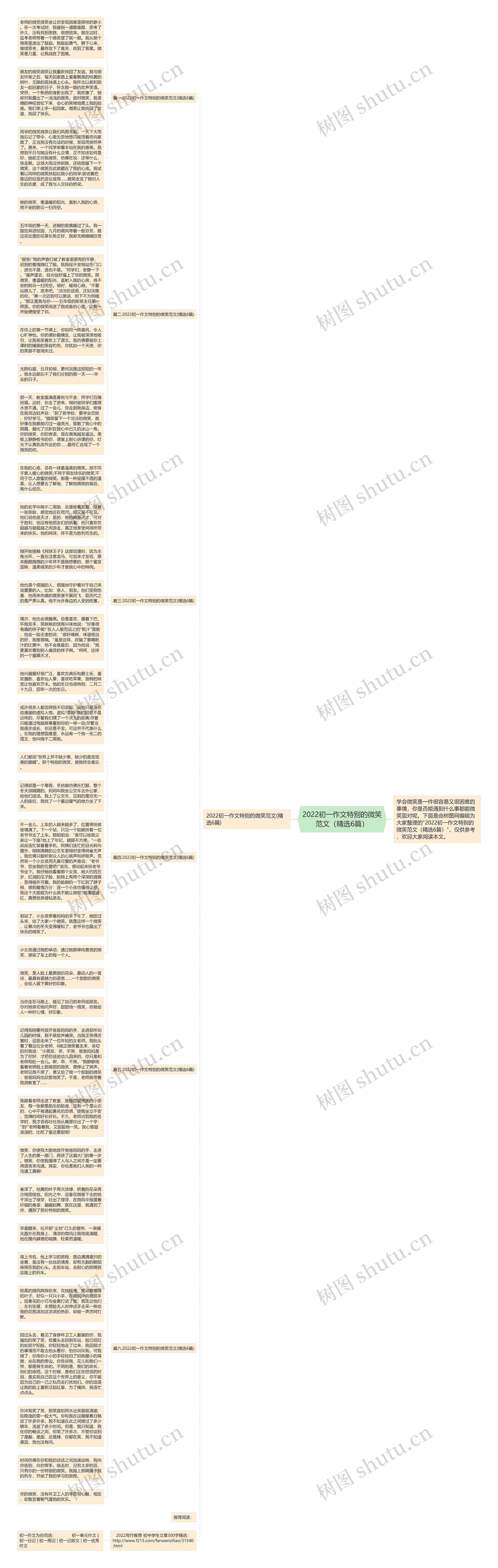 2022初一作文特别的微笑范文（精选6篇）思维导图