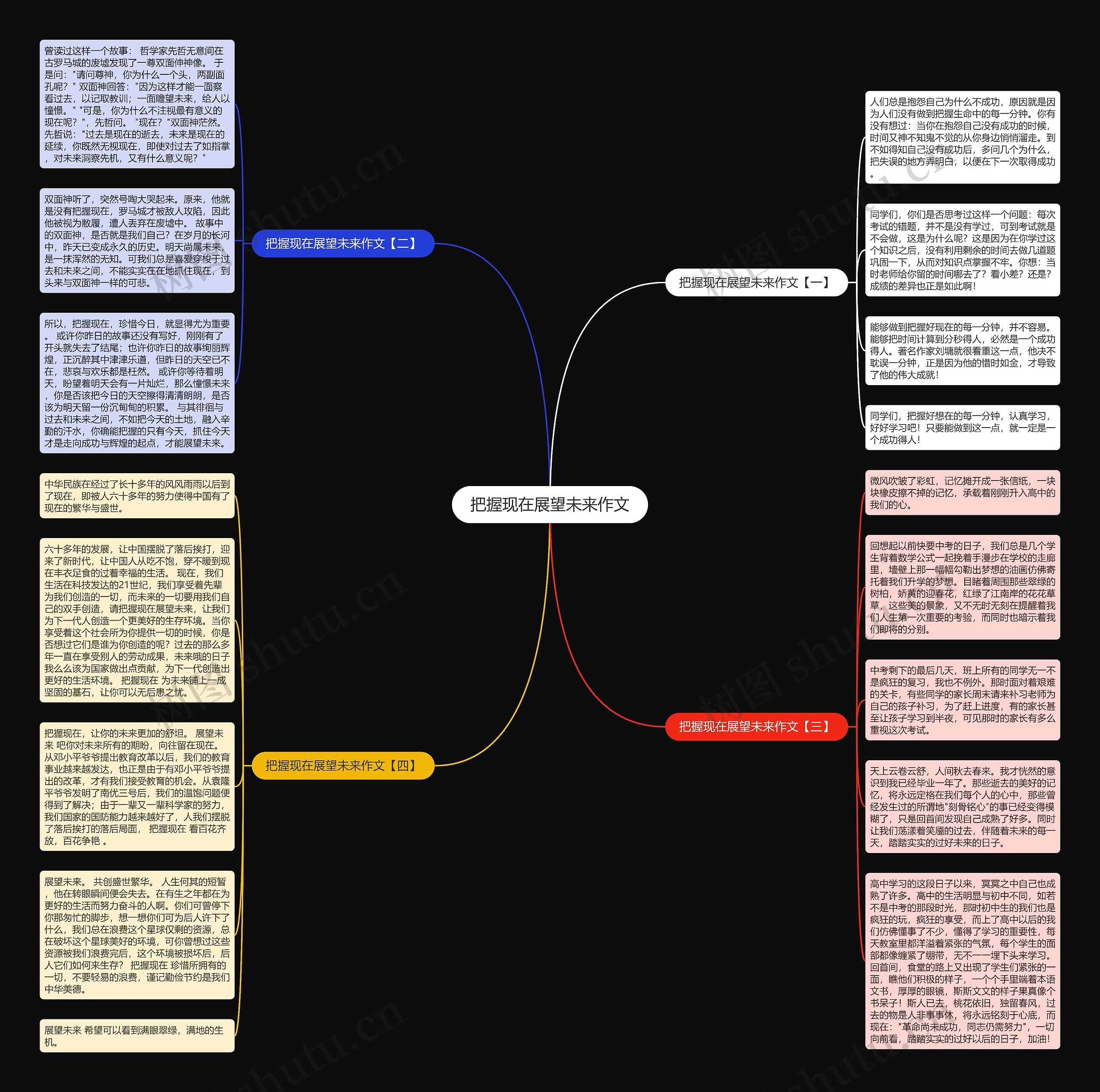 把握现在展望未来作文思维导图