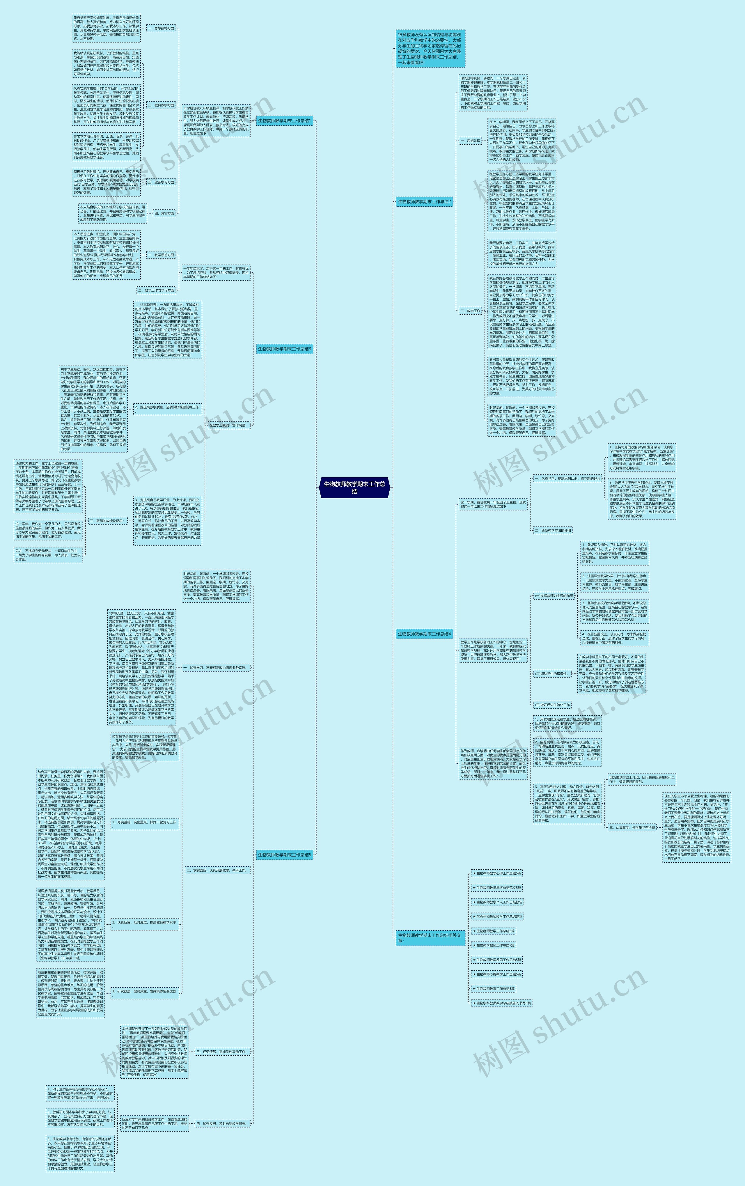 生物教师教学期末工作总结思维导图