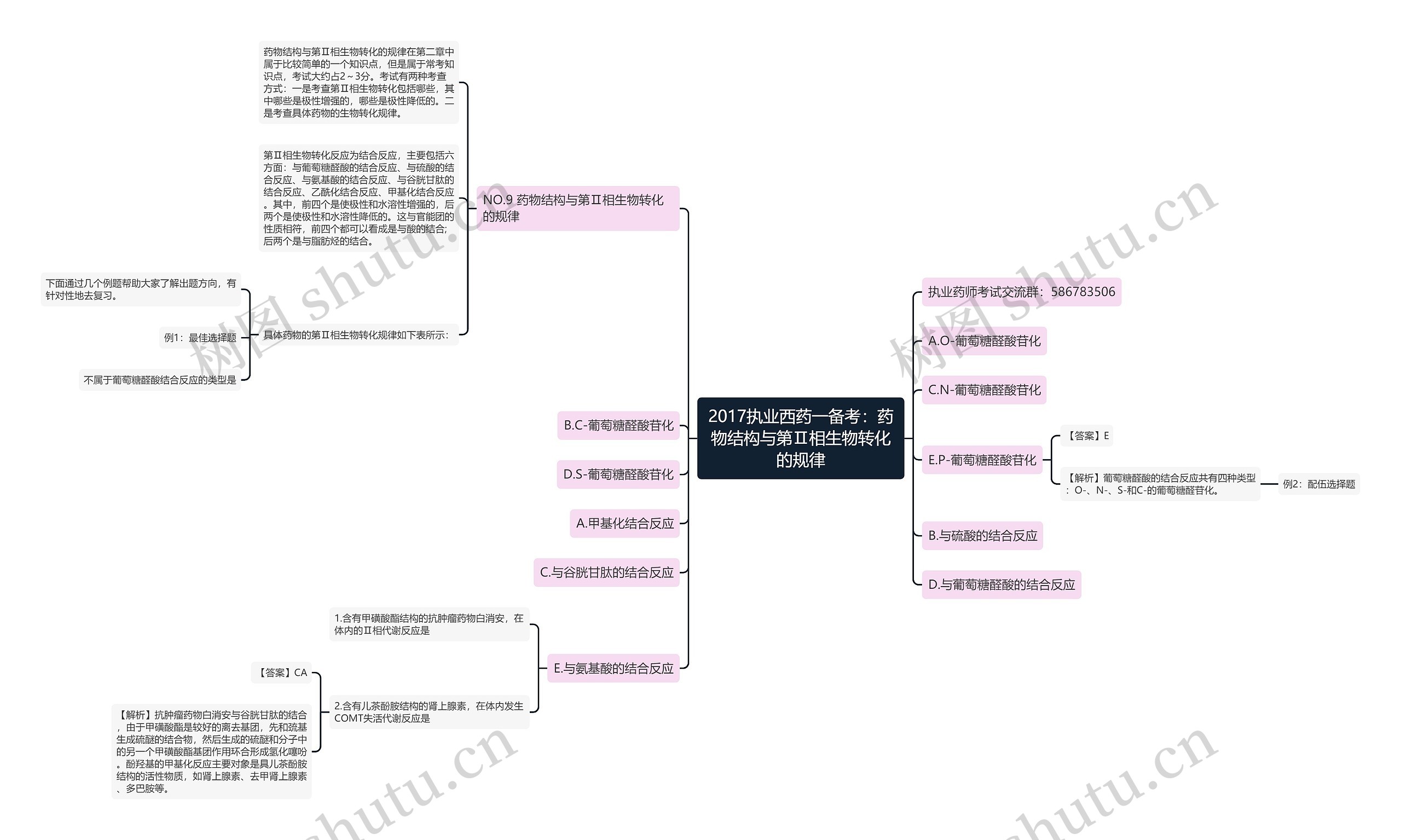 2017执业西药一备考：药物结构与第Ⅱ相生物转化的规律思维导图