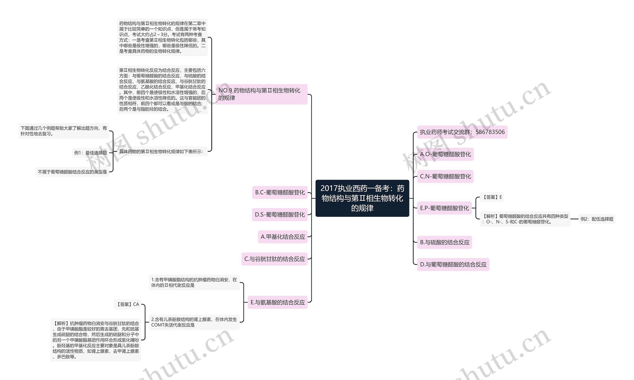 2017执业西药一备考:药物结构与第Ⅱ相生物转化的规律思维导图高清图 2017执业西药一备考:药物结构与第Ⅱ相生物转化的规律思维导图
