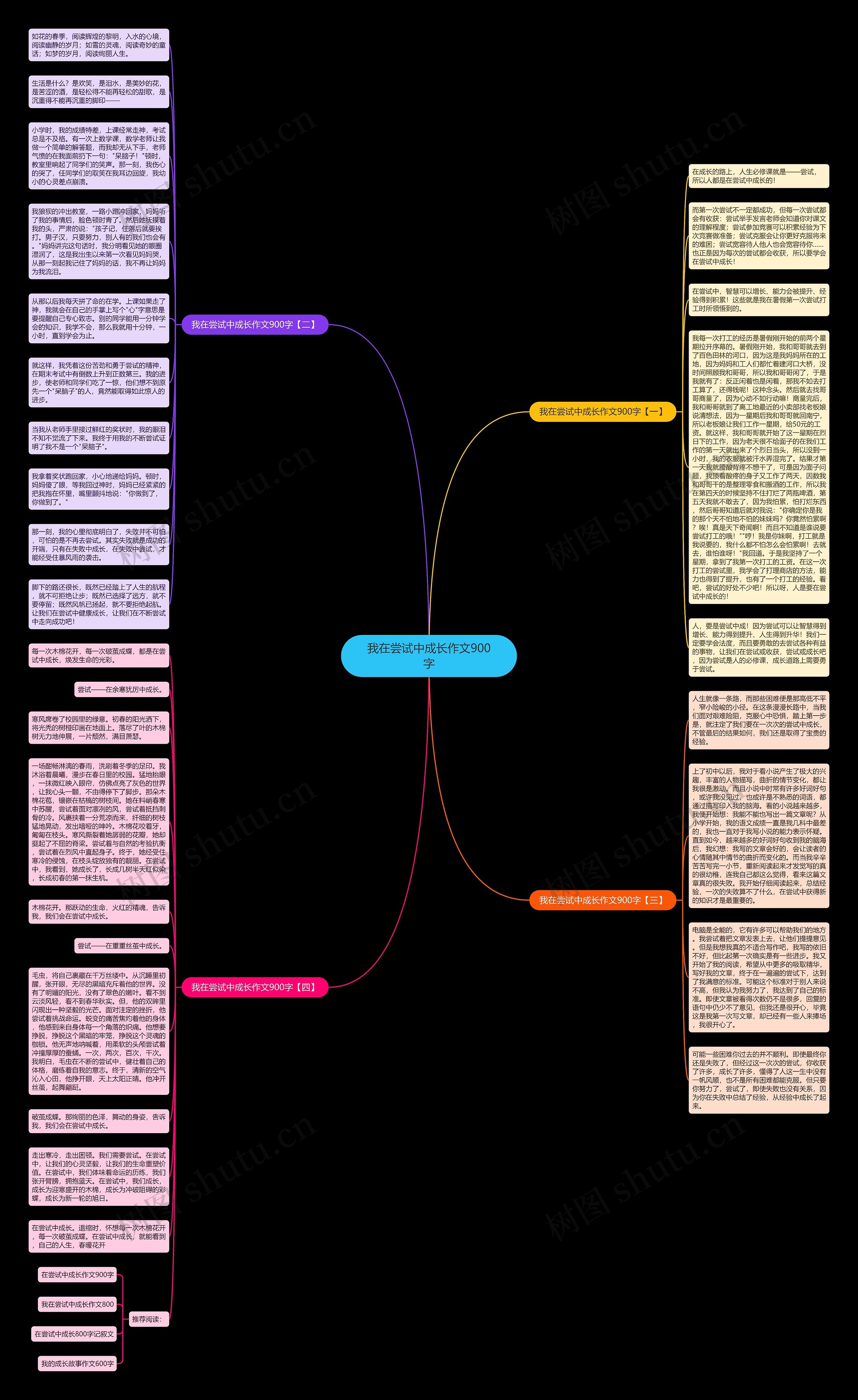 我在尝试中成长作文900字思维导图