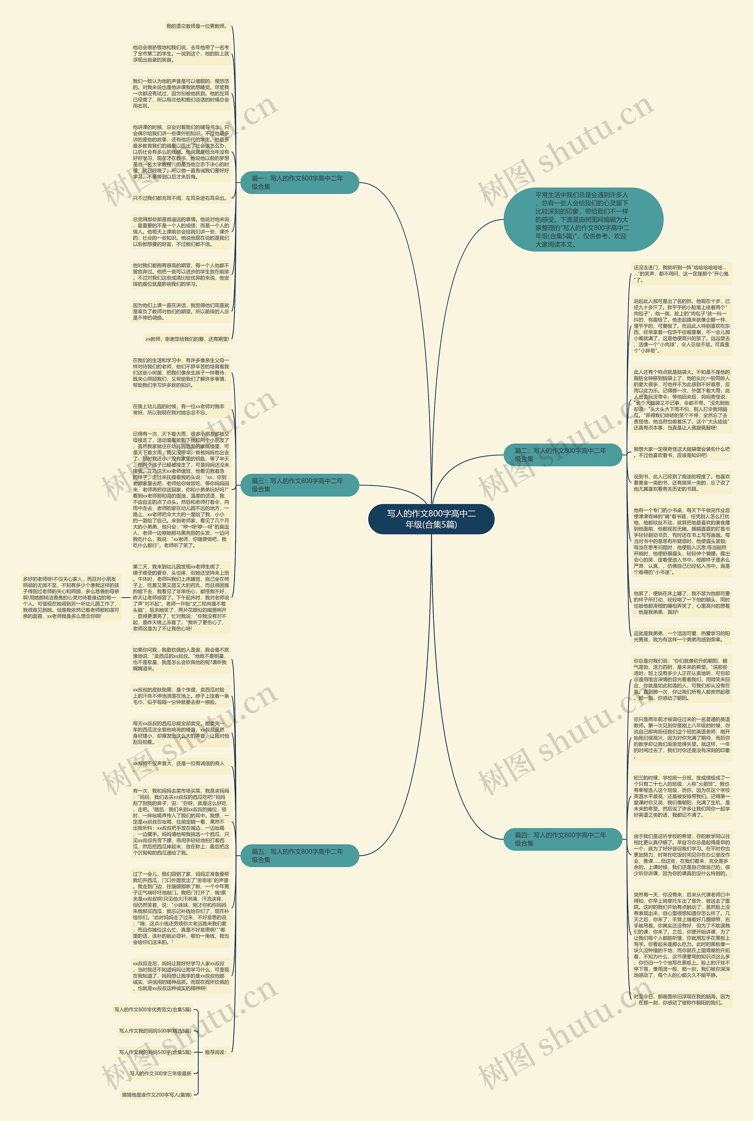 写人的作文800字高中二年级(合集5篇)思维导图