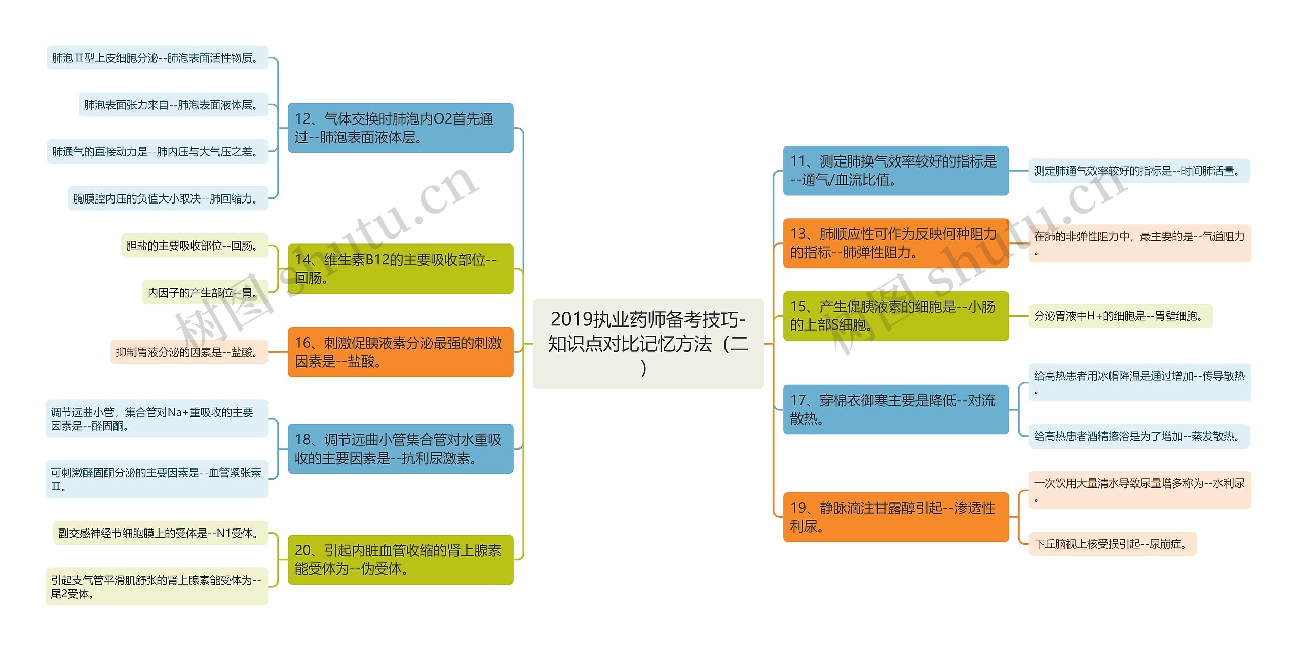 2019执业药师备考技巧-知识点对比记忆方法（二）思维导图