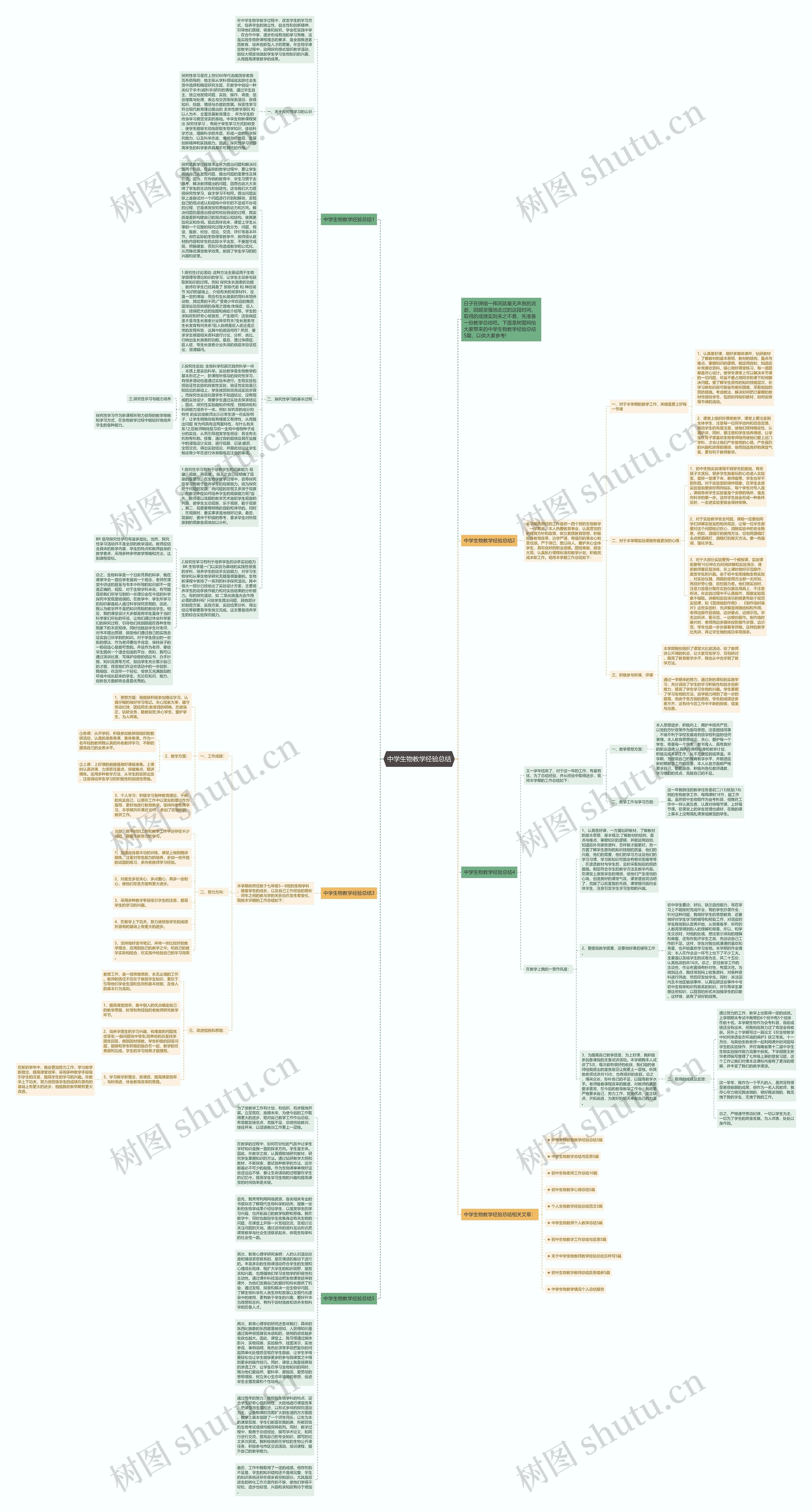 中学生物教学经验总结思维导图