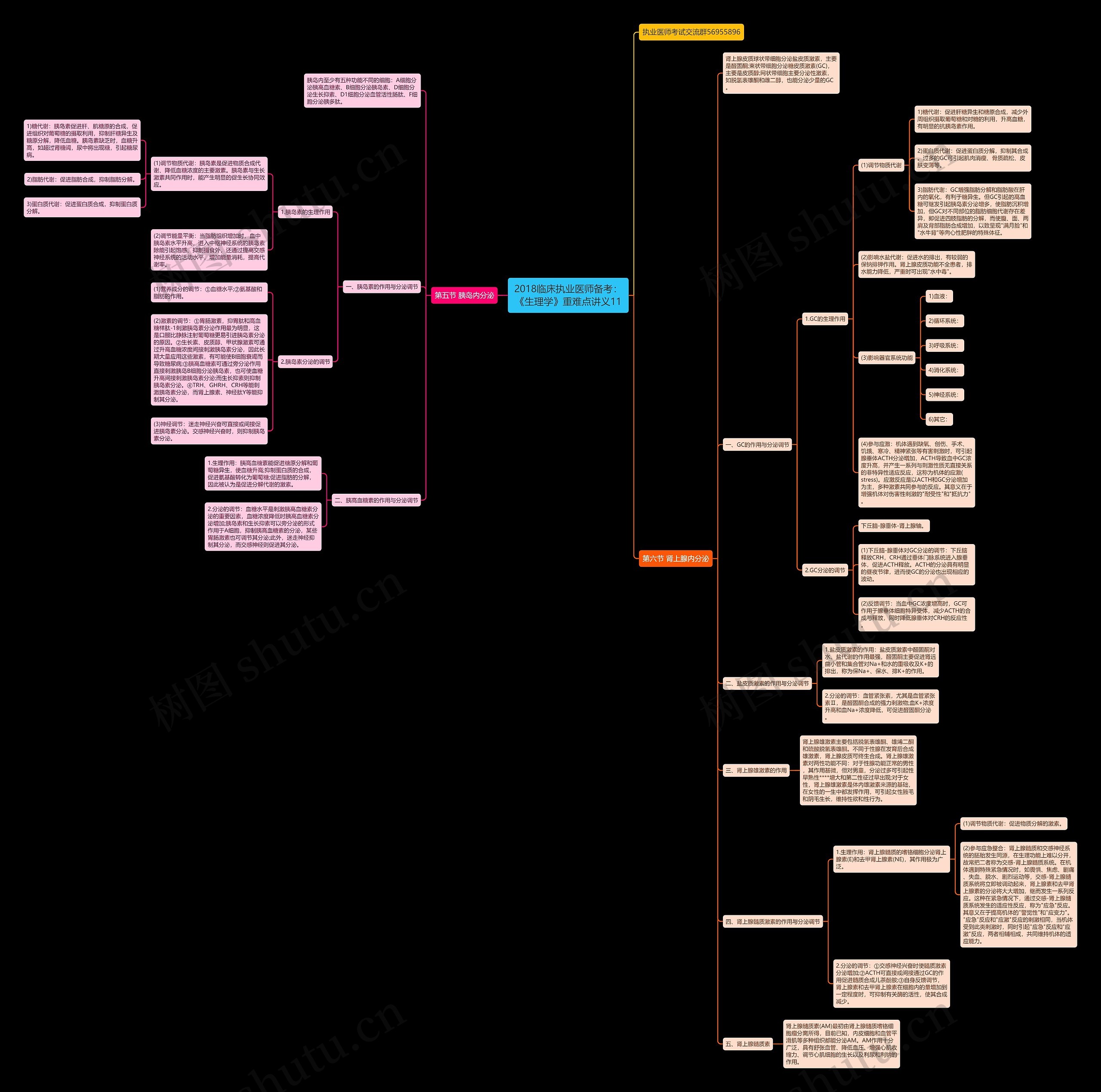 2018临床执业医师备考:《生理学》重难点讲义11思维导图高清图 2018临床执业医师备考:《生理学》重难点讲义11思维导图