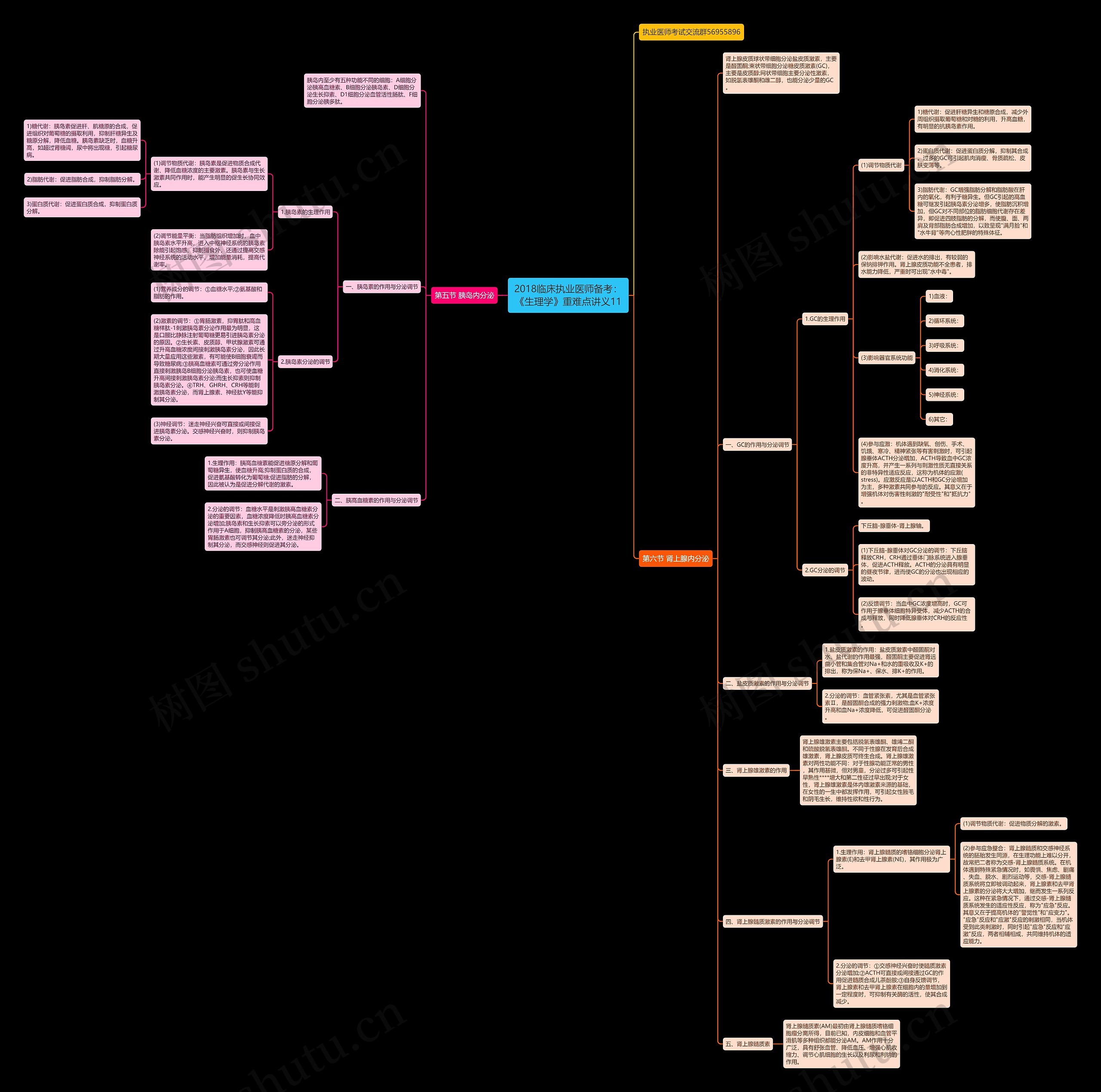 2018临床执业医师备考：《生理学》重难点讲义11思维导图