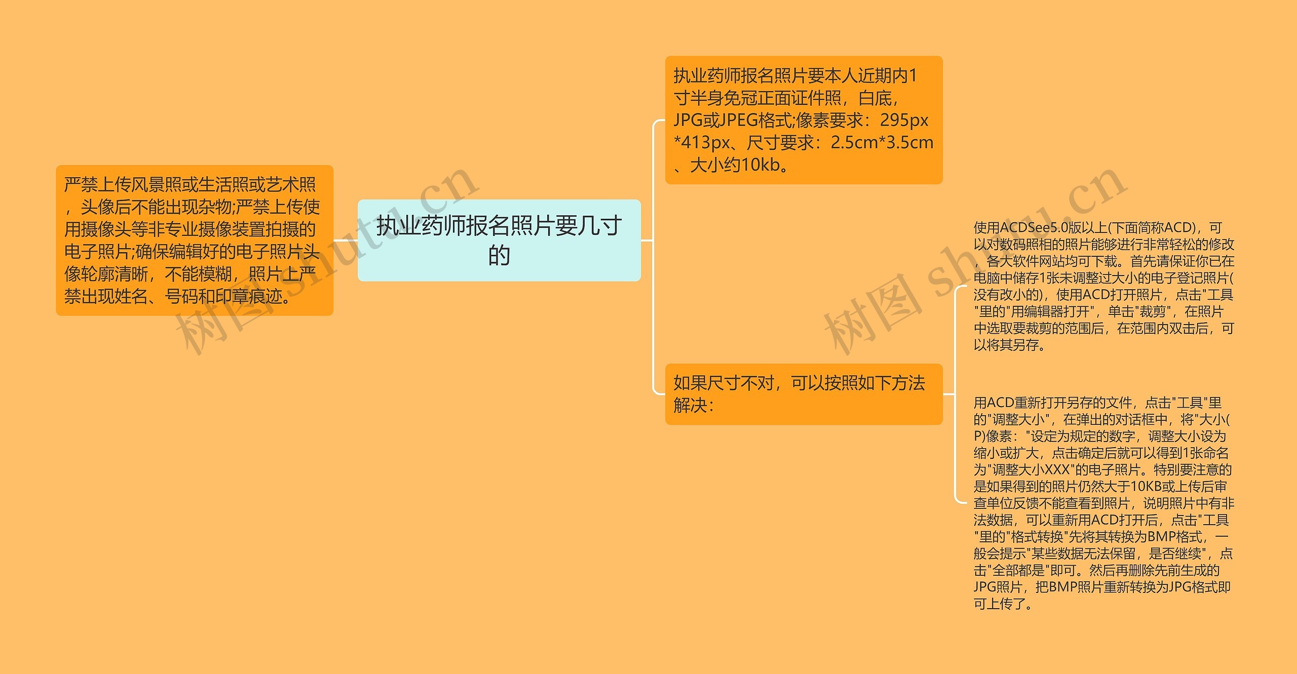 执业药师报名照片要几寸的