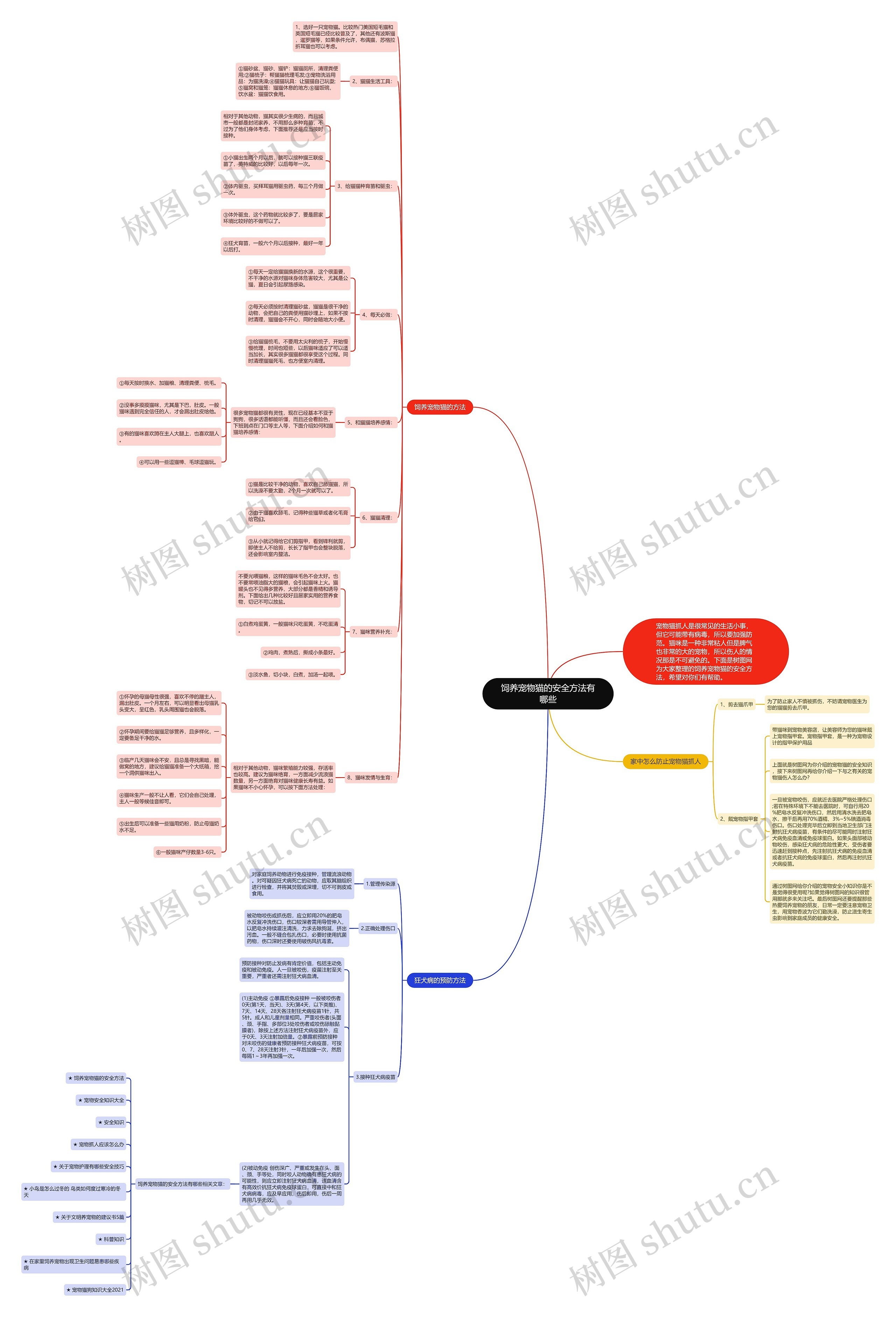 饲养宠物猫的安全方法有哪些思维导图