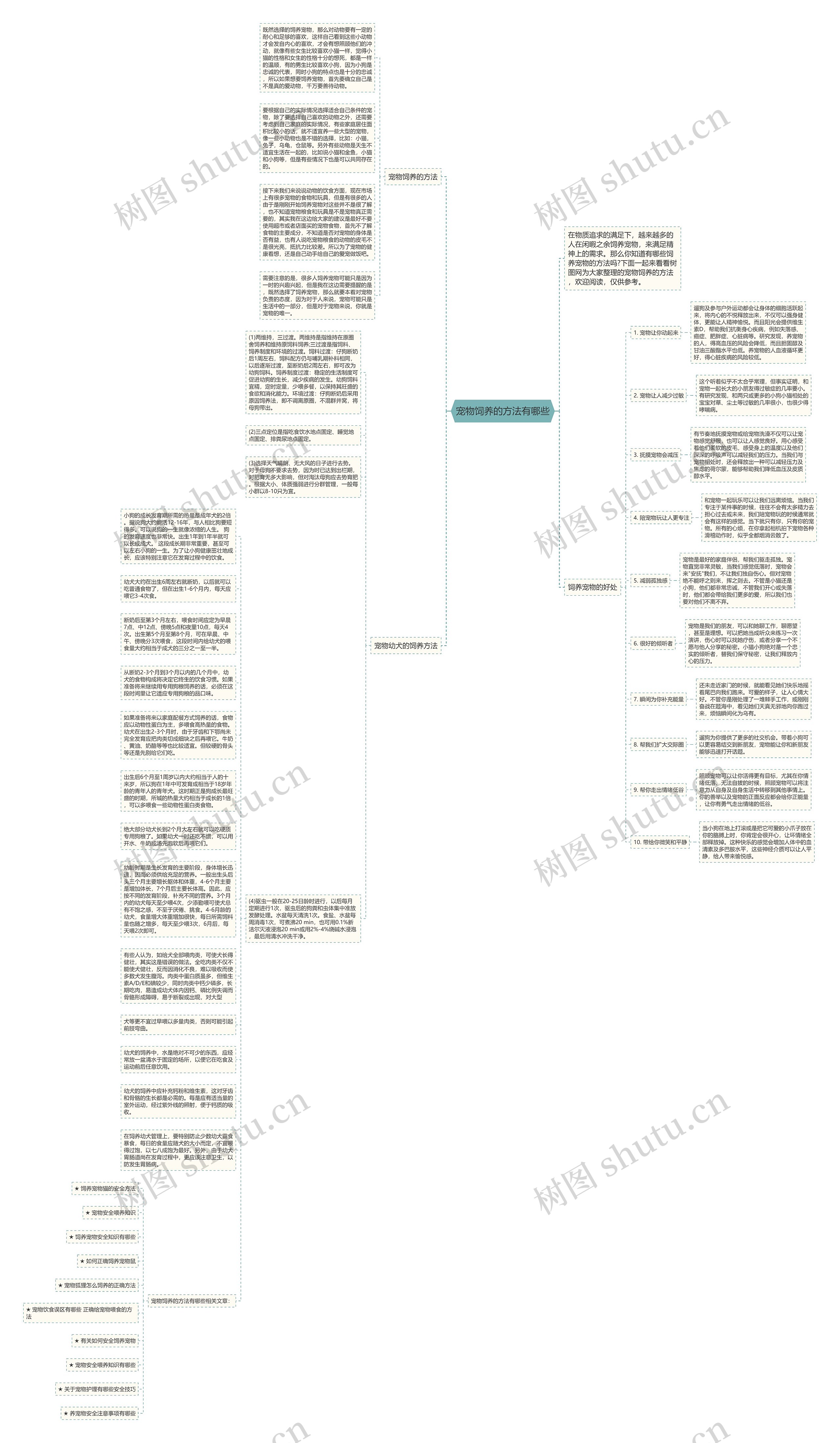 宠物饲养的方法有哪些思维导图