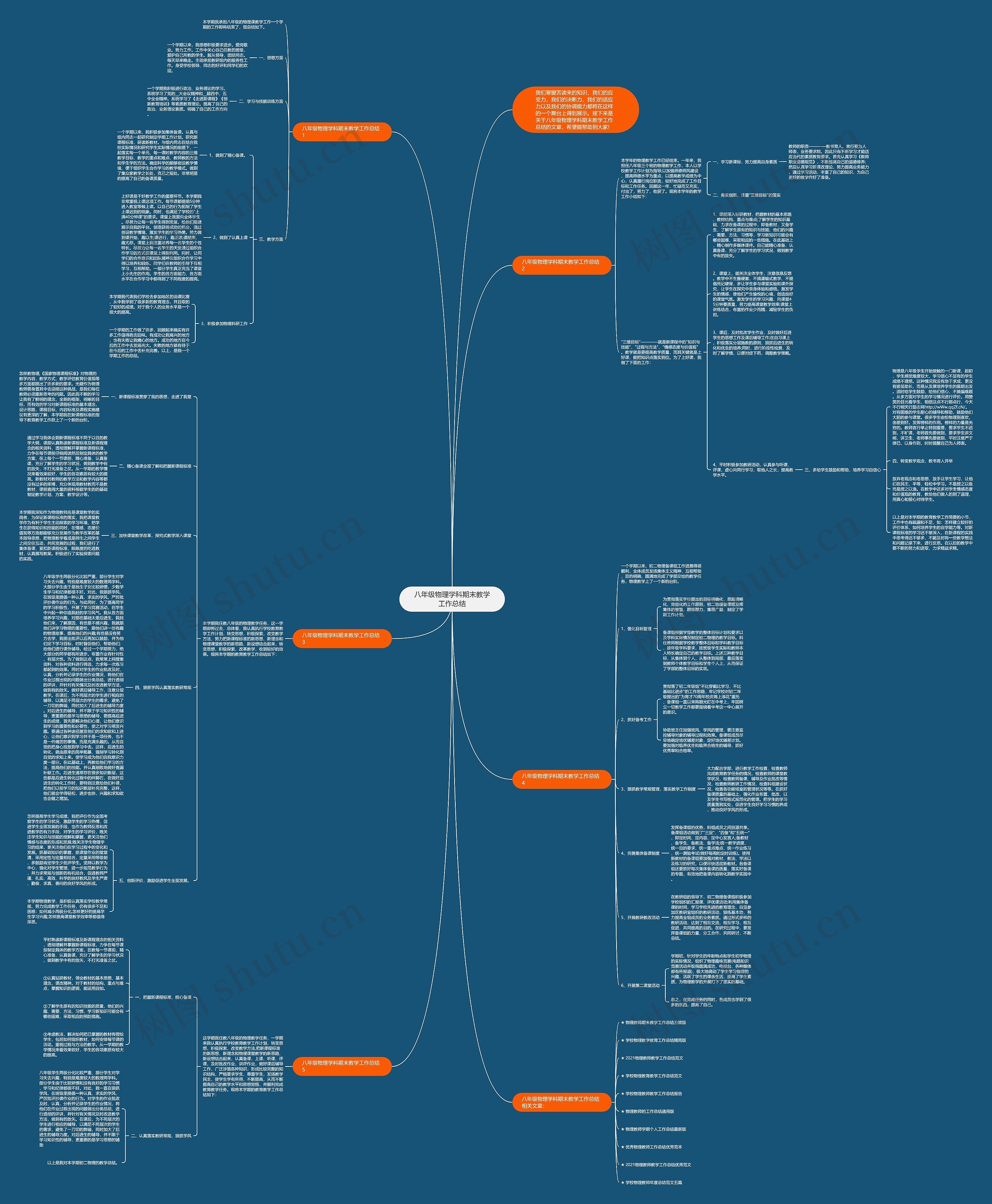 八年级物理学科期末教学工作总结思维导图