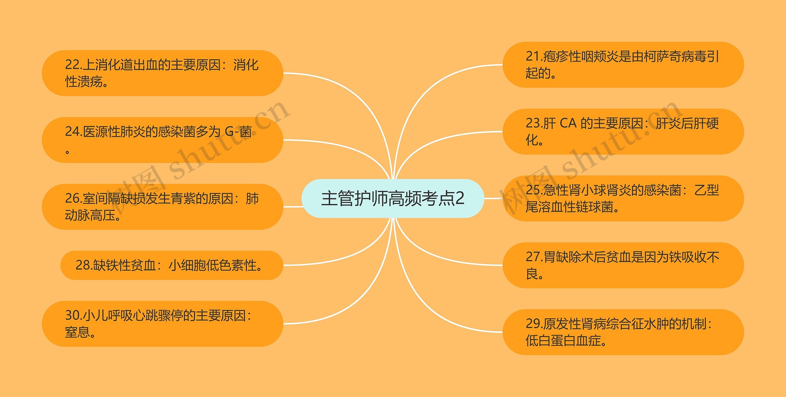 主管护师高频考点2