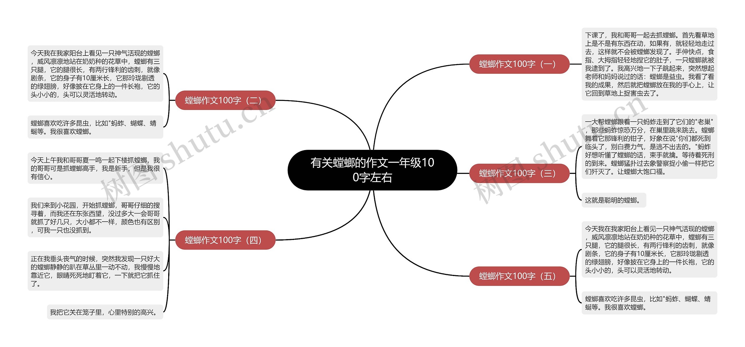 有关螳螂的作文一年级100字左右