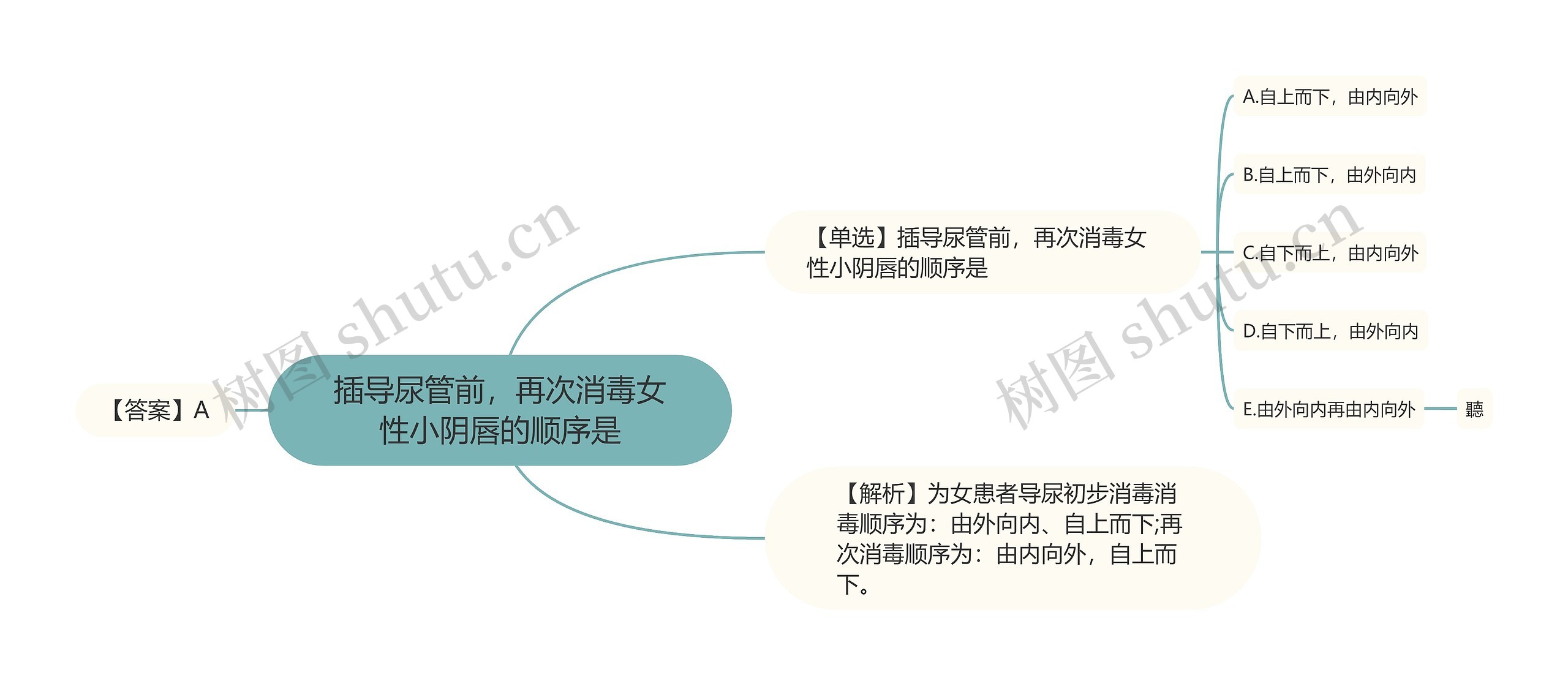 插导尿管前，再次消毒女性小阴唇的顺序是