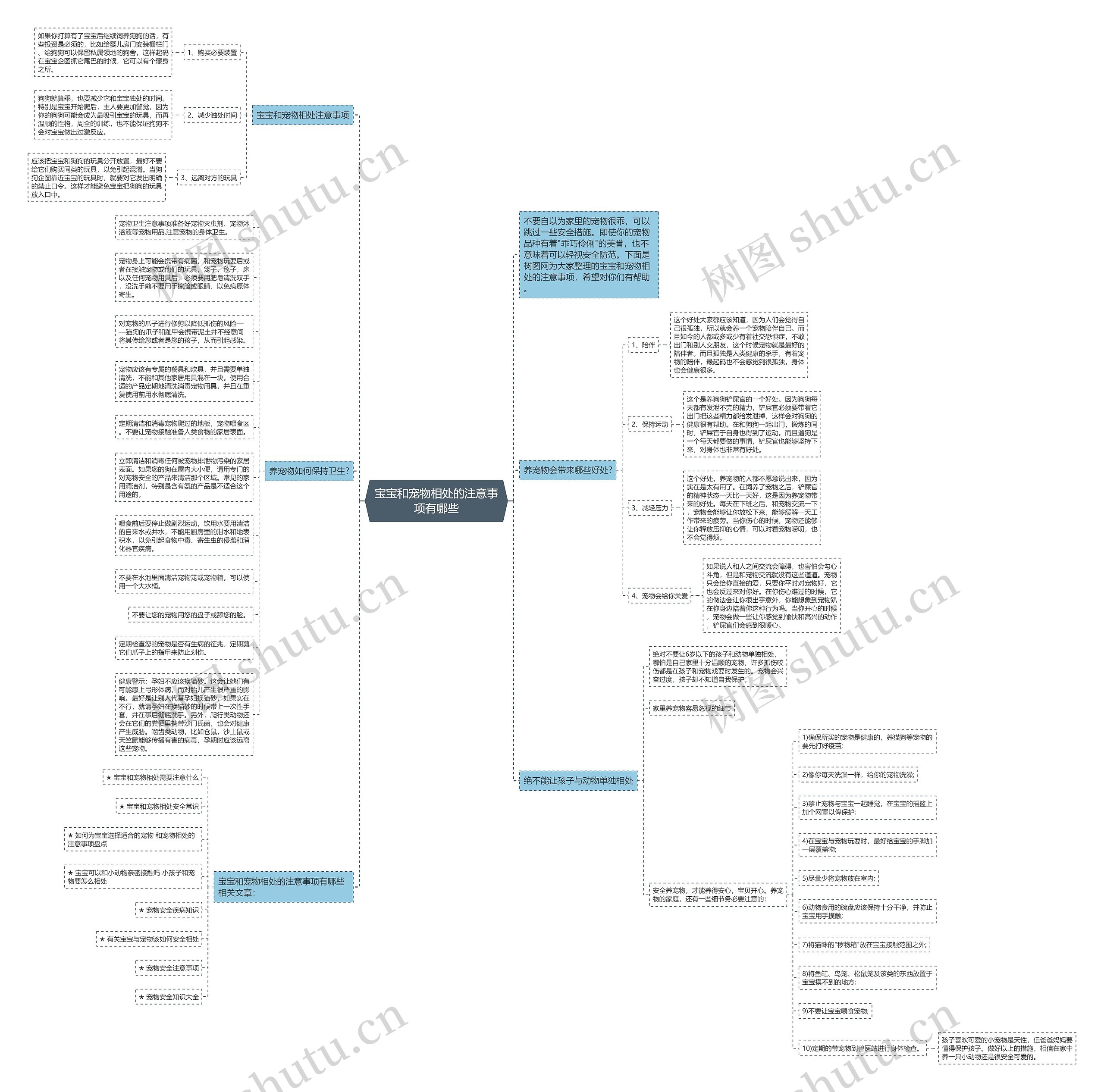宝宝和宠物相处的注意事项有哪些思维导图