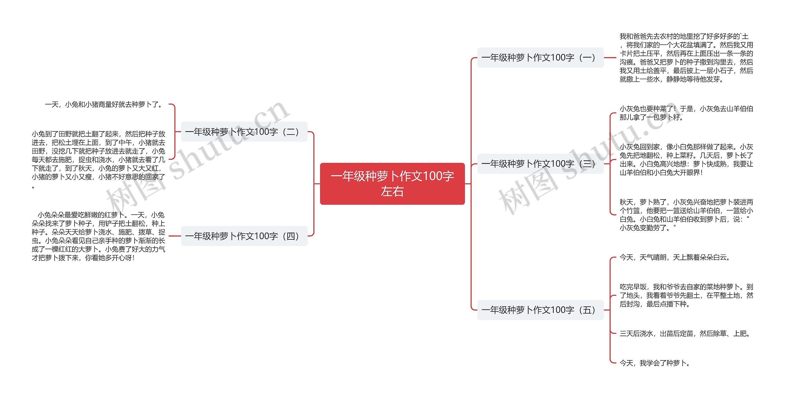 一年级种萝卜作文100字左右思维导图