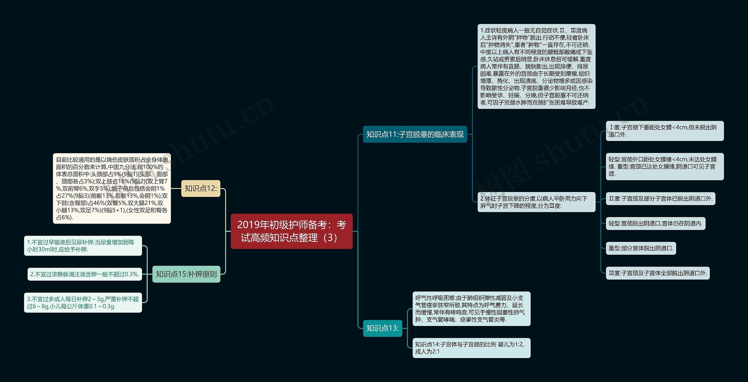 2019年初级护师备考：考试高频知识点整理（3）思维导图