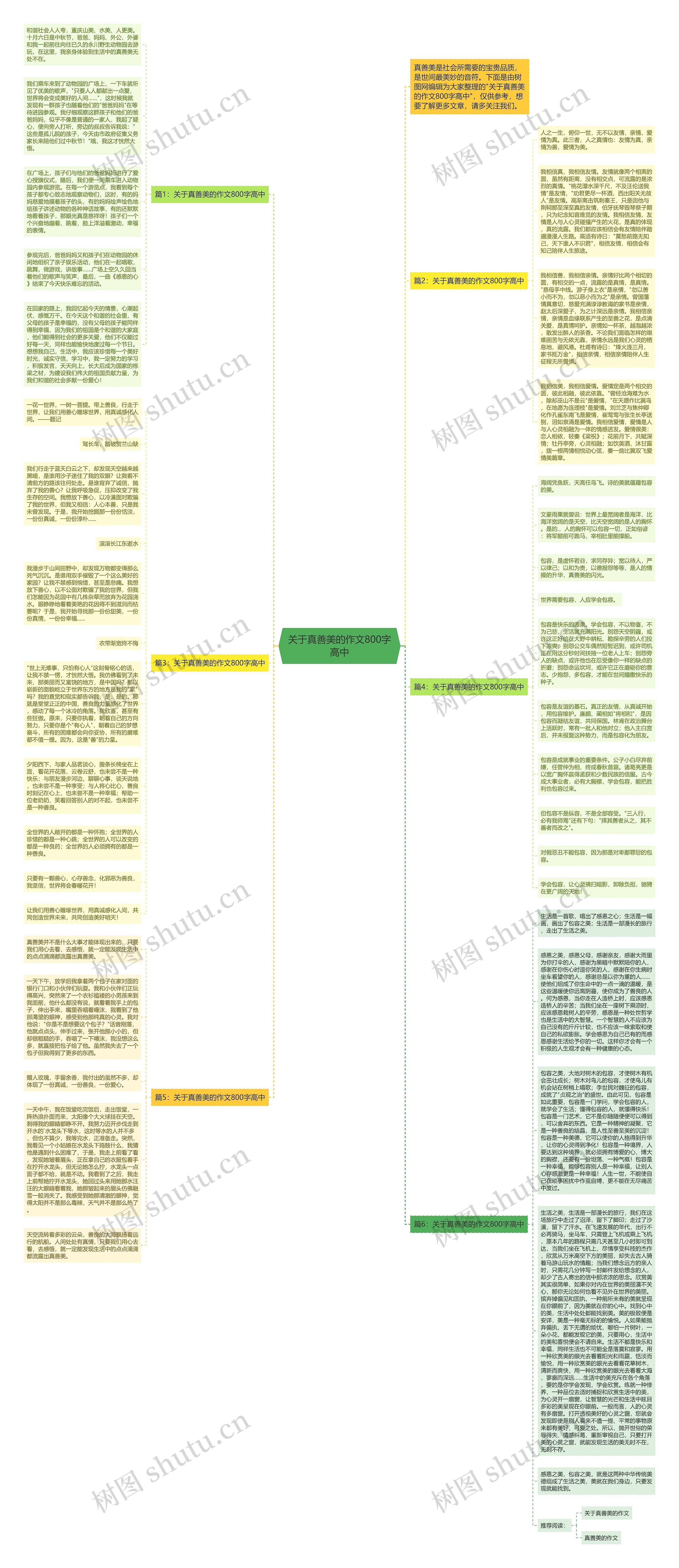 关于真善美的作文800字高中思维导图