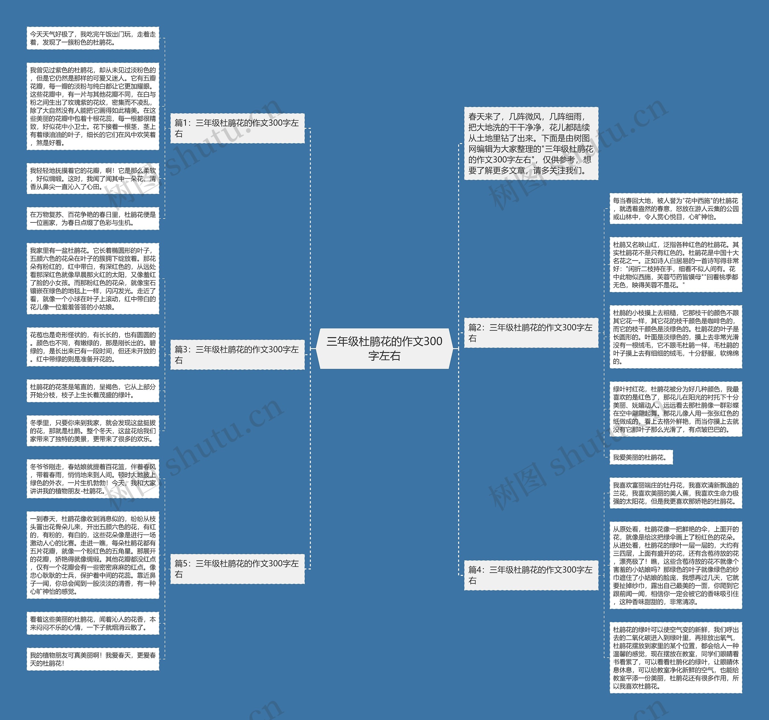 三年级杜鹃花的作文300字左右思维导图