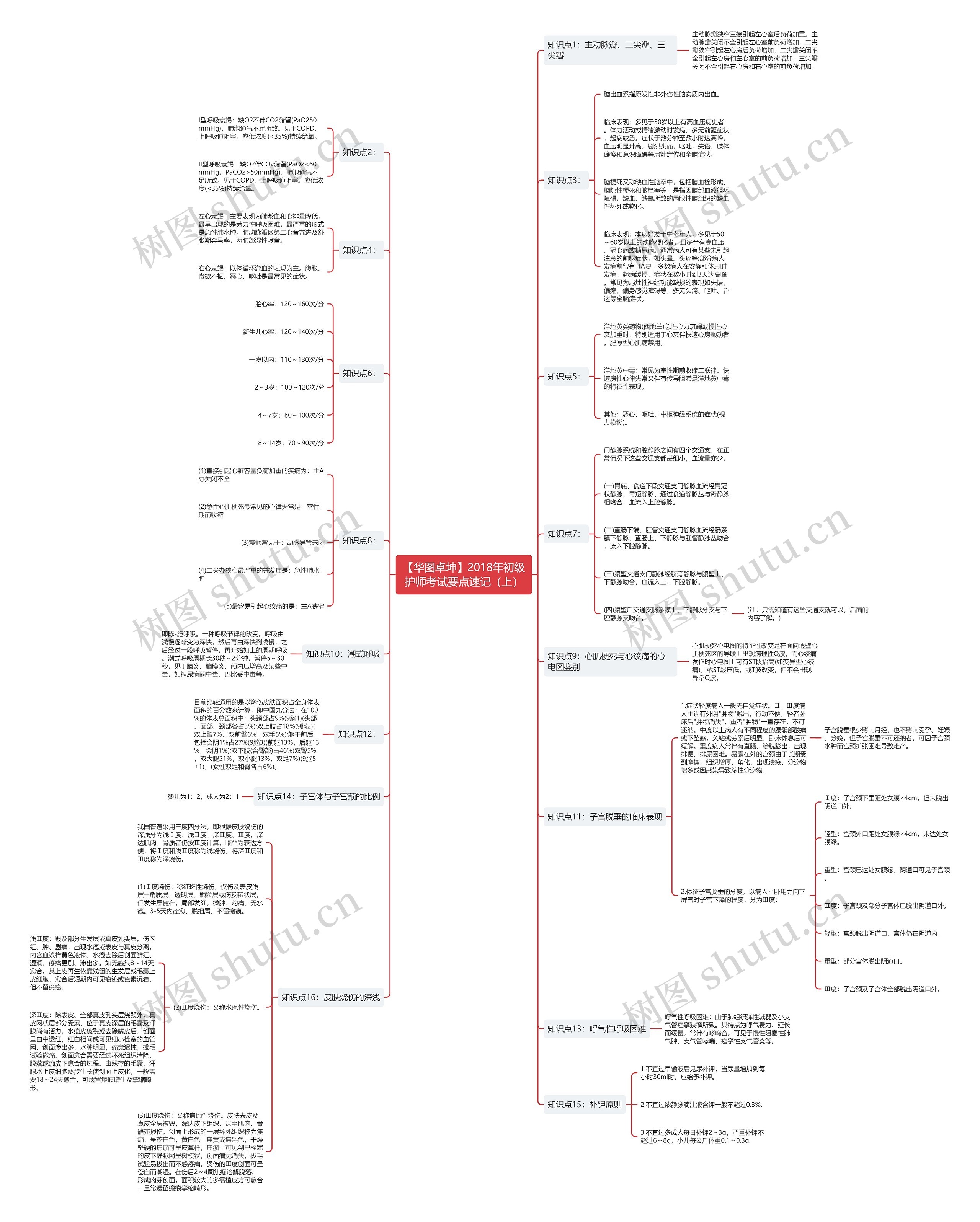 【华图卓坤】2018年初级护师考试要点速记(上) 【华图卓坤】2018年初级护师考试要点速记(上)