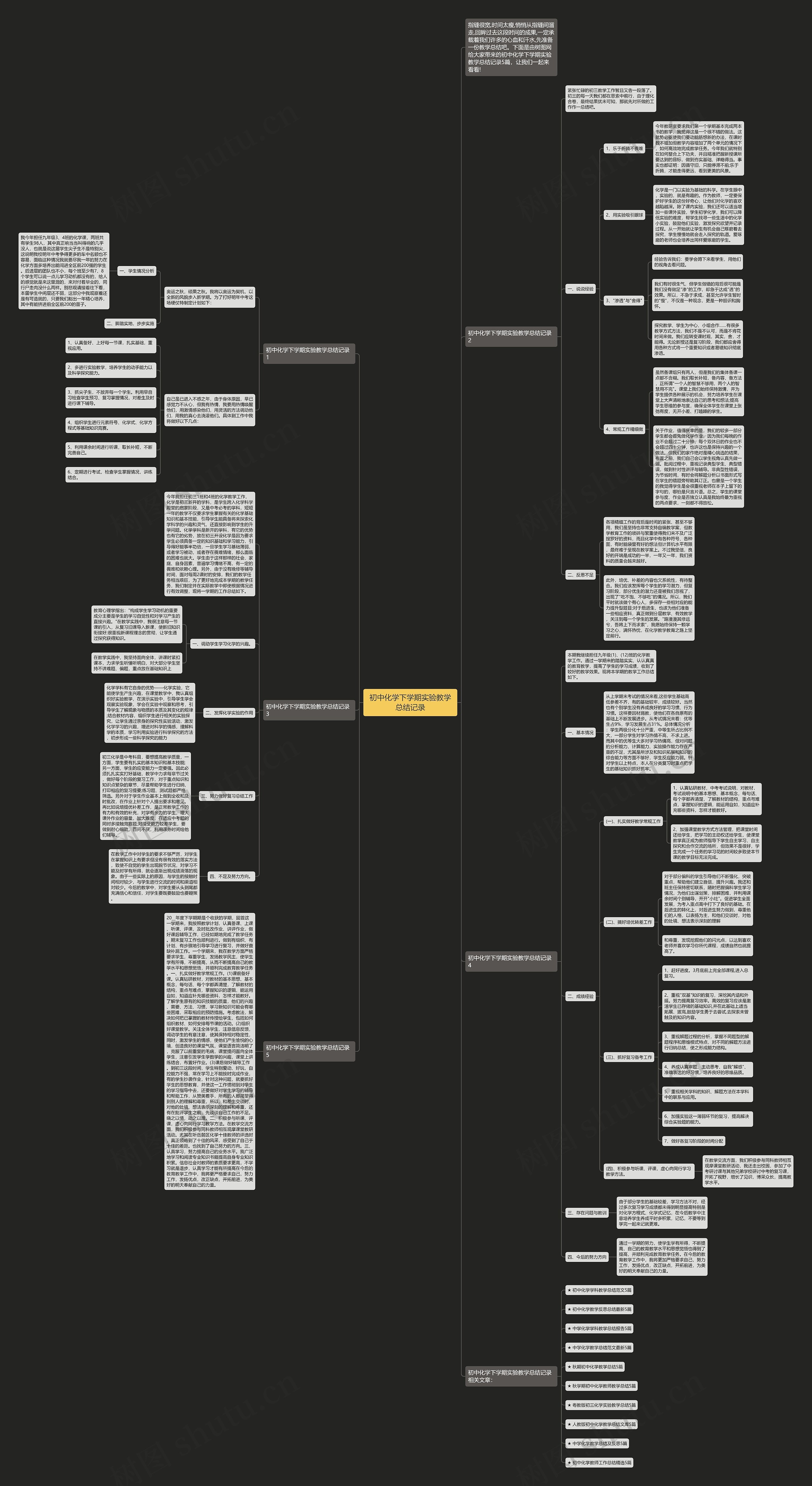 初中化学下学期实验教学总结记录思维导图